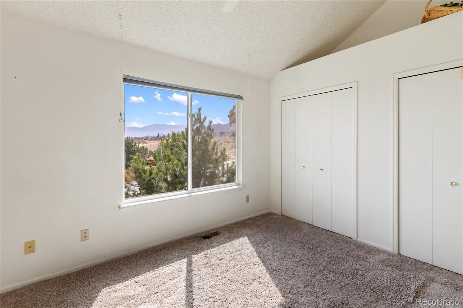 MLS Image #13 for 2039  bristlecone ,colorado springs, Colorado