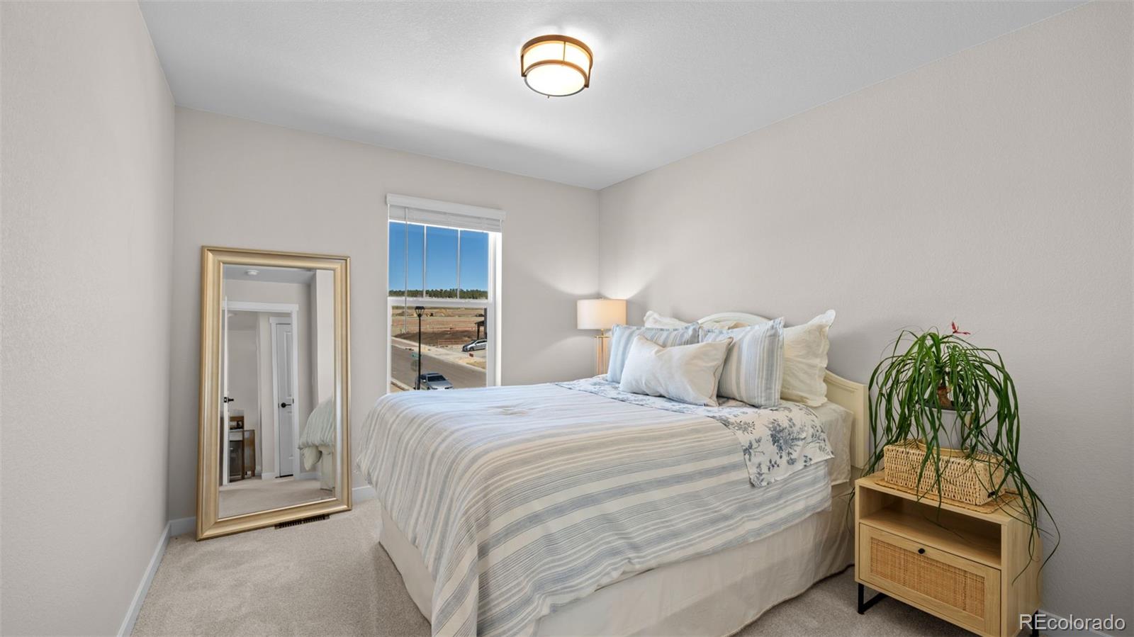 MLS Image #29 for 7011  knapp drive,colorado springs, Colorado