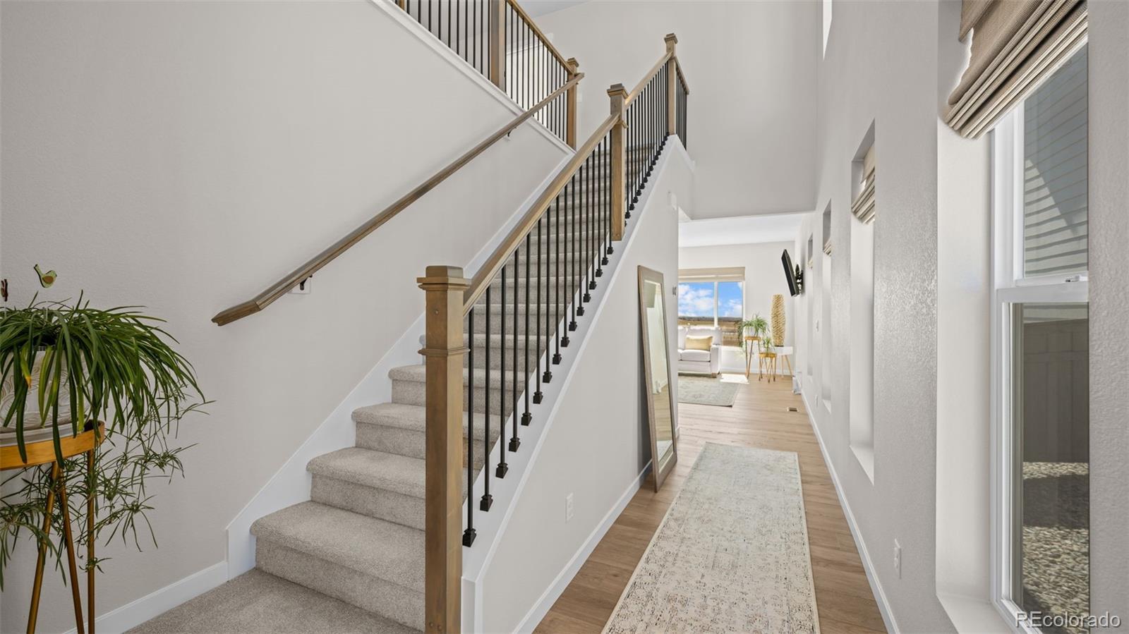 MLS Image #4 for 7011  knapp drive,colorado springs, Colorado