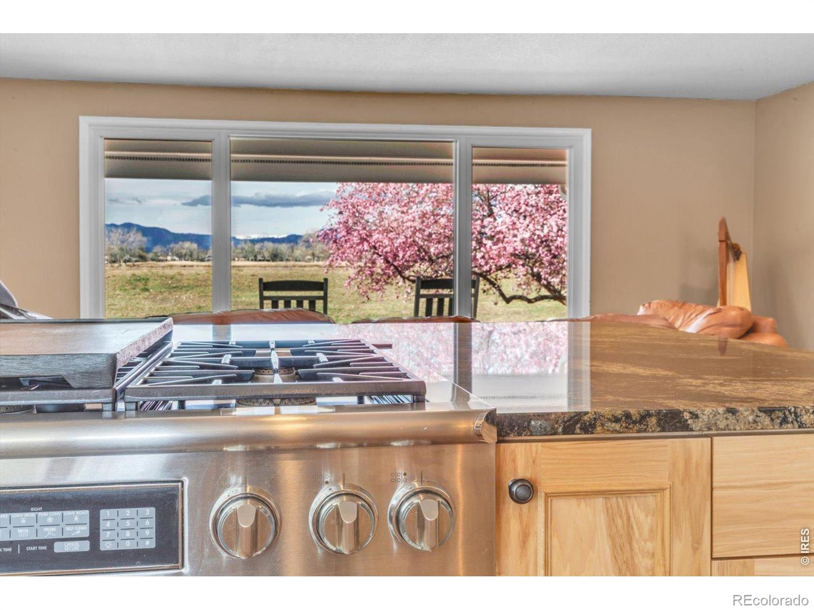 MLS Image #12 for 1296  aspen street,broomfield, Colorado