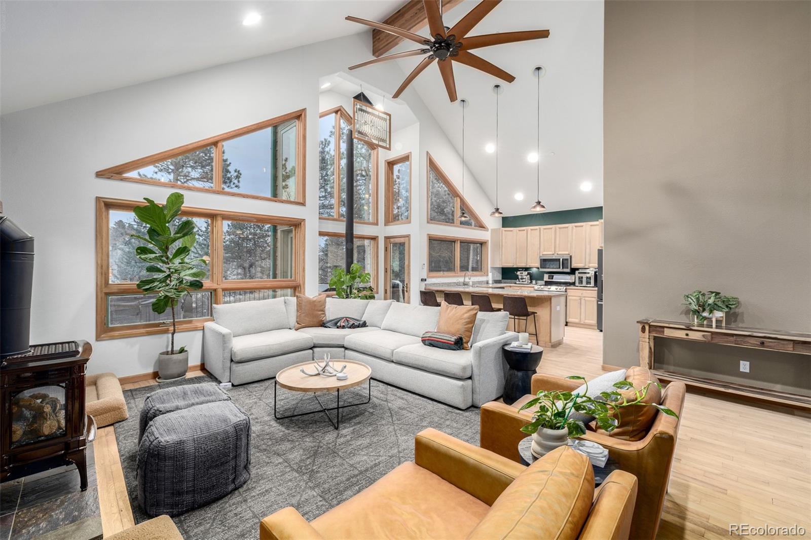 MLS Image #12 for 317  ridge road,ward, Colorado