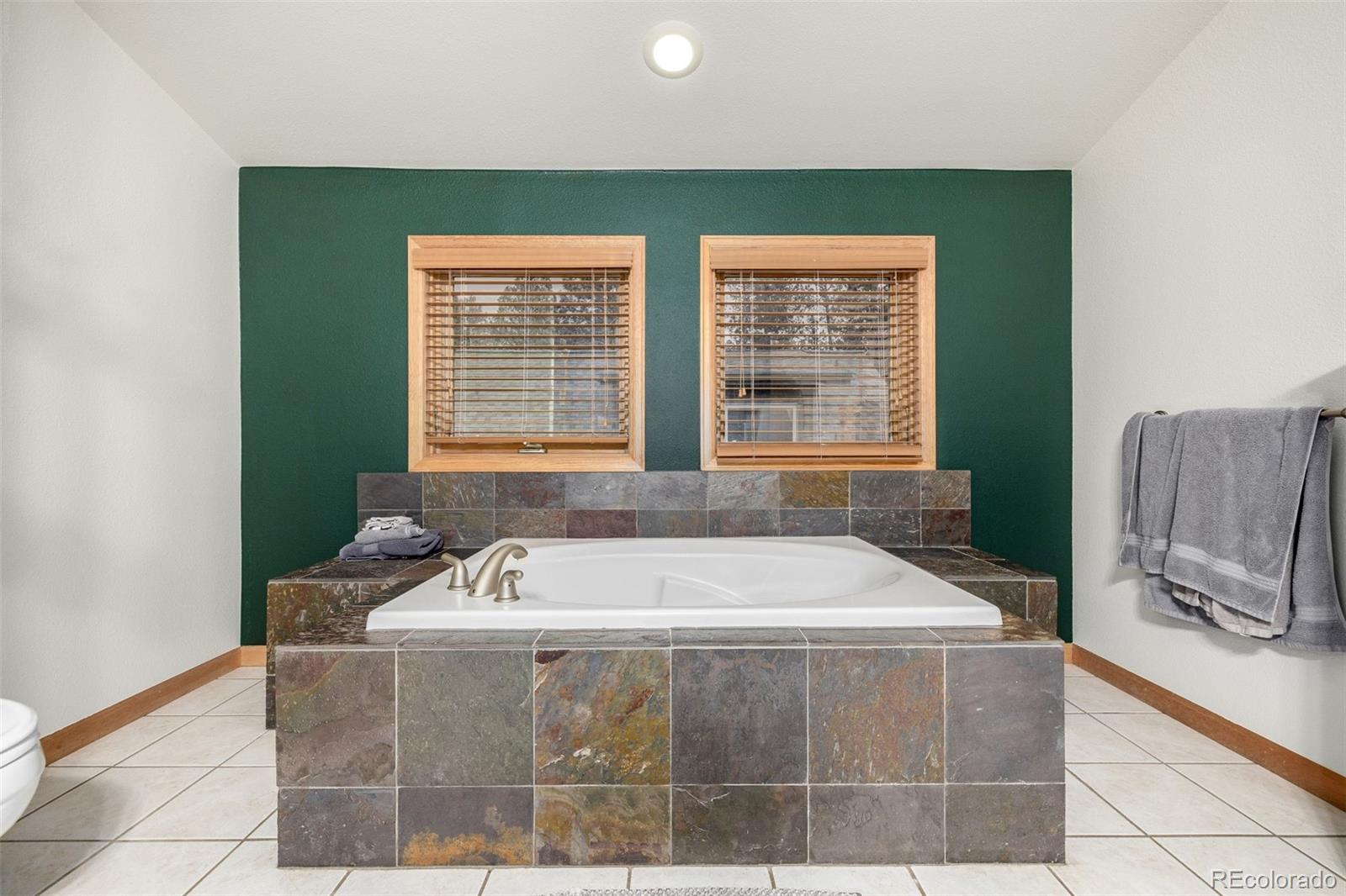 MLS Image #19 for 317  ridge road,ward, Colorado