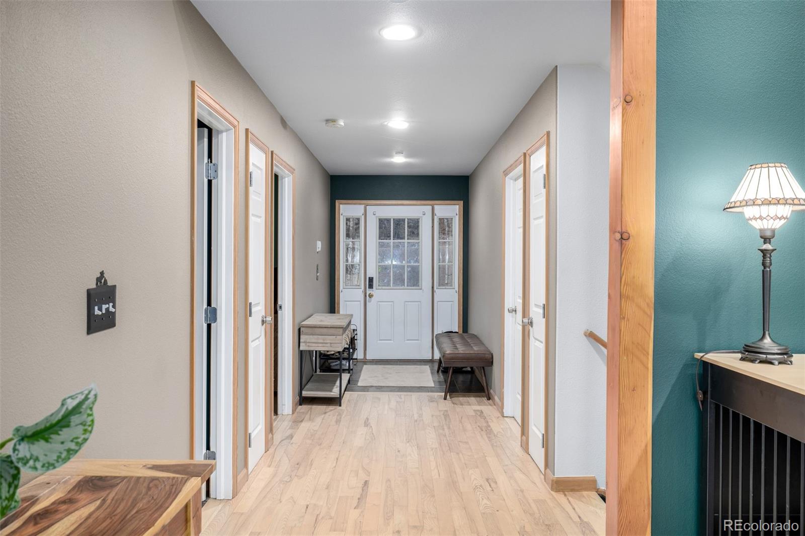 MLS Image #5 for 317  ridge road,ward, Colorado