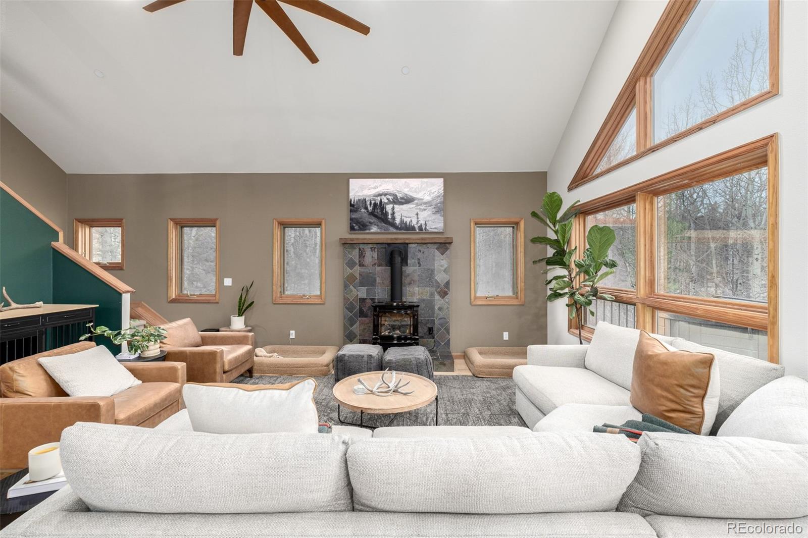 MLS Image #6 for 317  ridge road,ward, Colorado