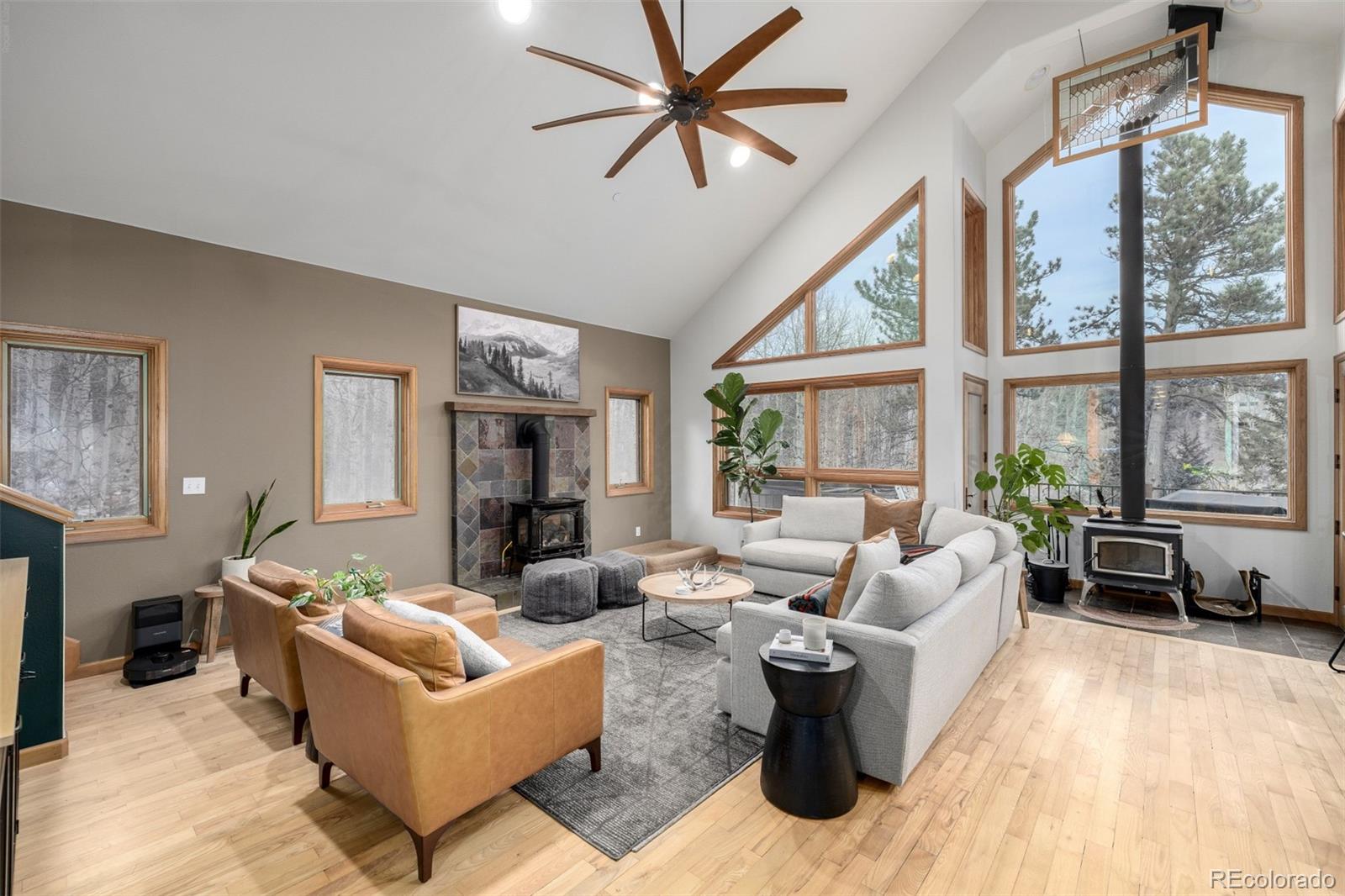 MLS Image #7 for 317  ridge road,ward, Colorado
