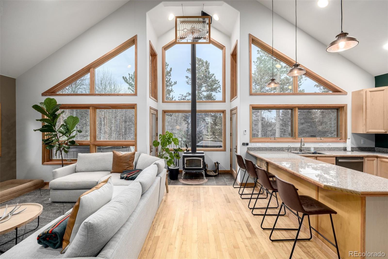 MLS Image #8 for 317  ridge road,ward, Colorado
