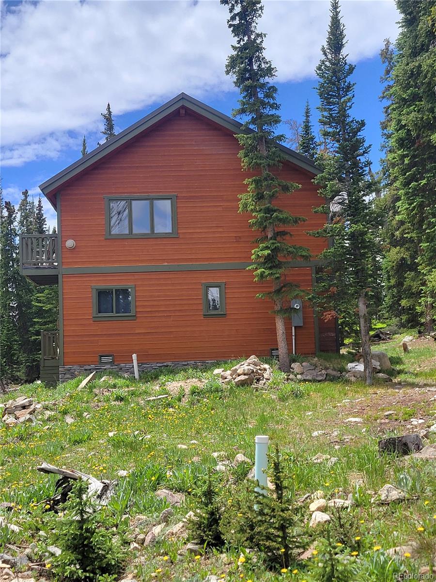 MLS Image #28 for 1561  prunes place,fairplay, Colorado