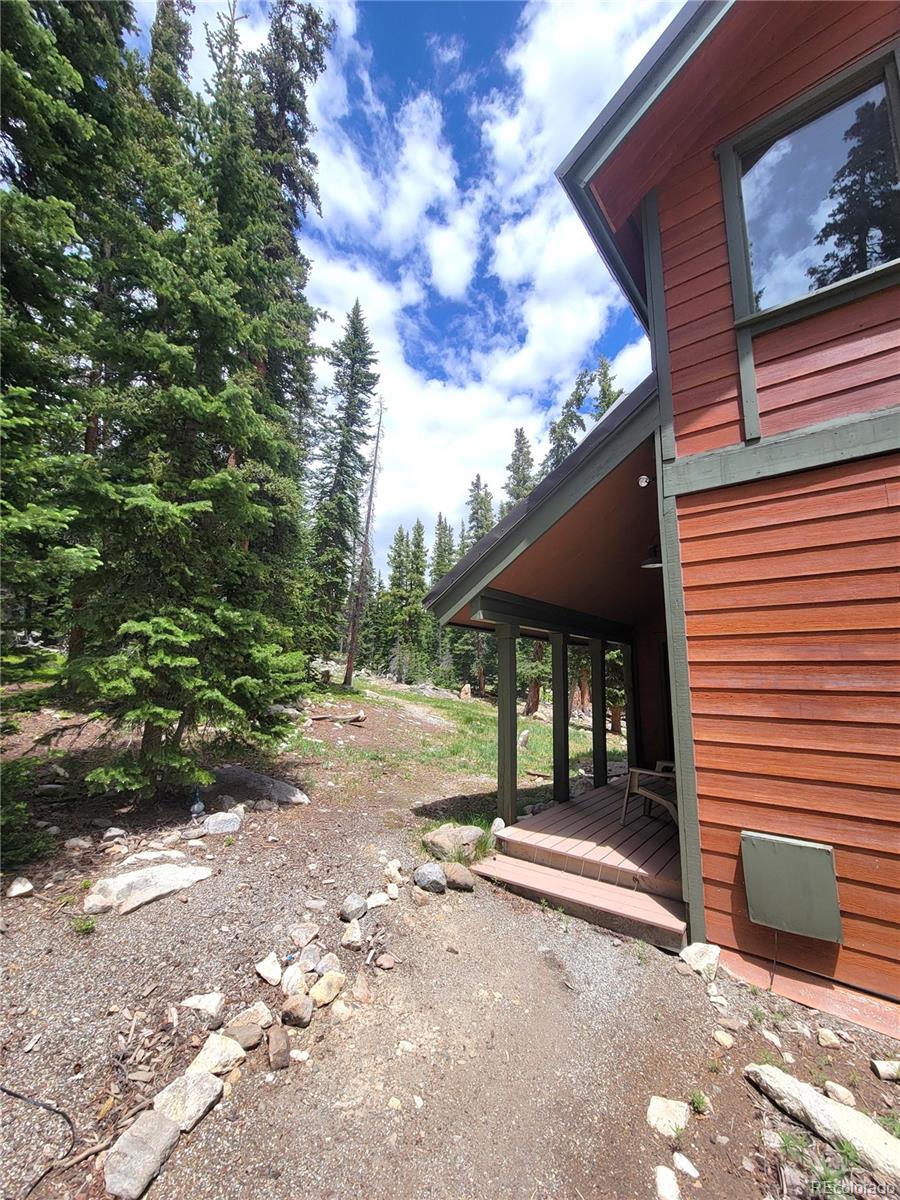 MLS Image #31 for 1561  prunes place,fairplay, Colorado
