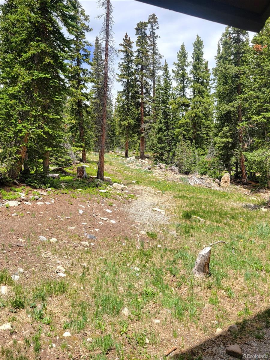 MLS Image #32 for 1561  prunes place,fairplay, Colorado
