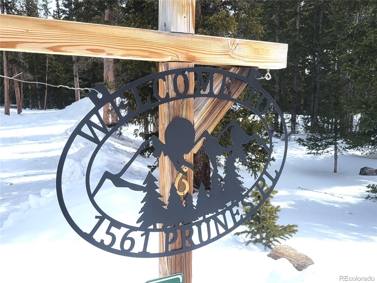MLS Image #38 for 1561  prunes place,fairplay, Colorado