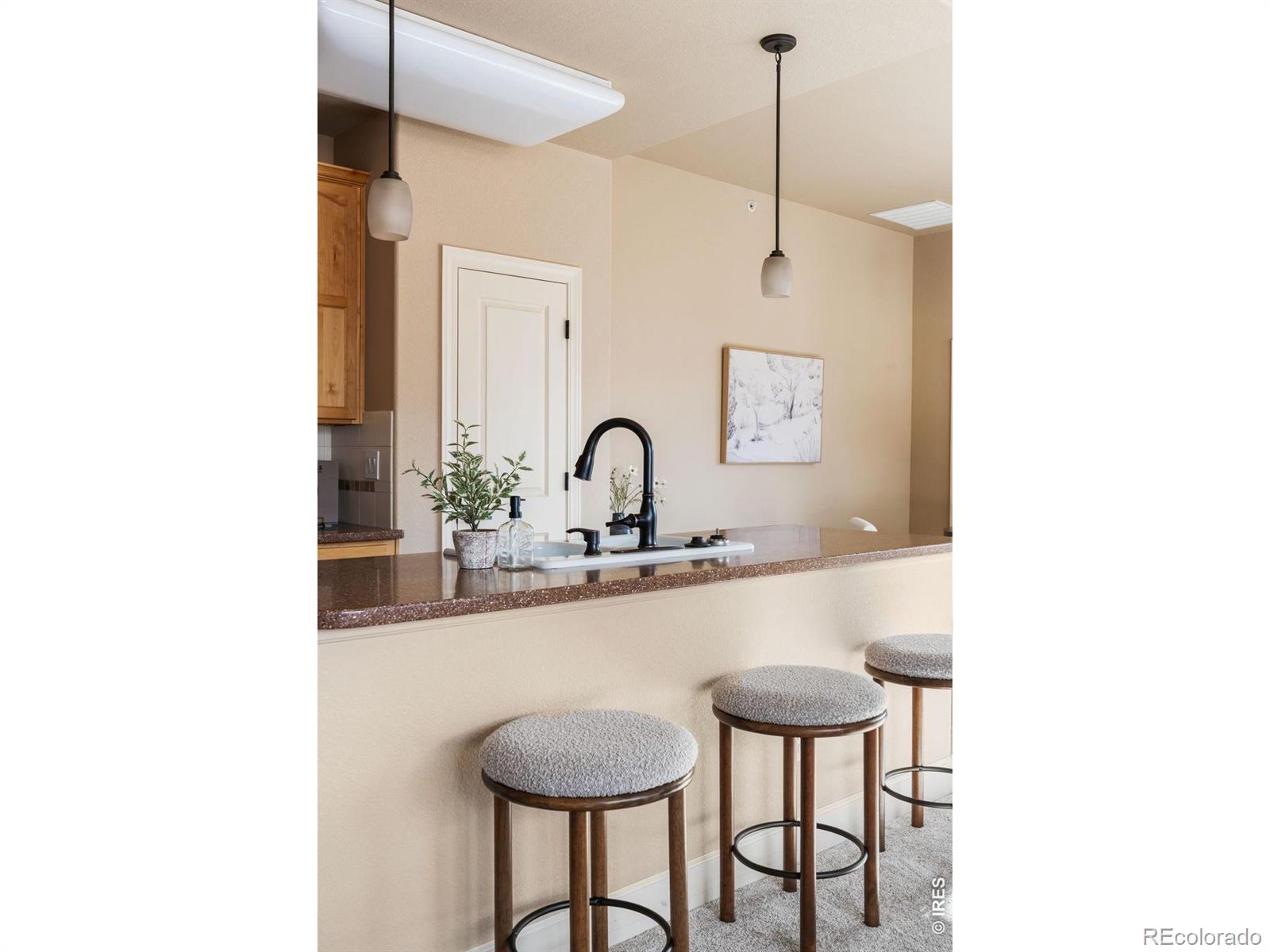 MLS Image #10 for 1379  charles drive,longmont, Colorado