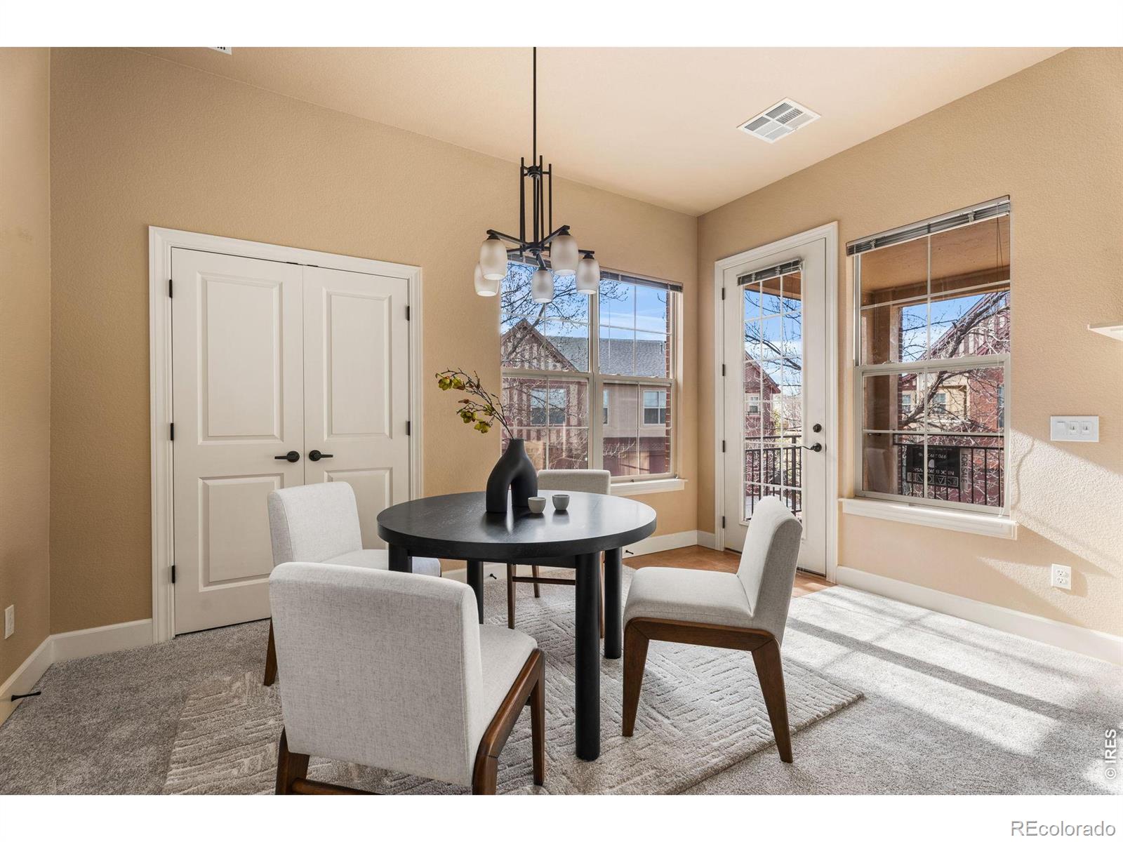 MLS Image #14 for 1379  charles drive,longmont, Colorado
