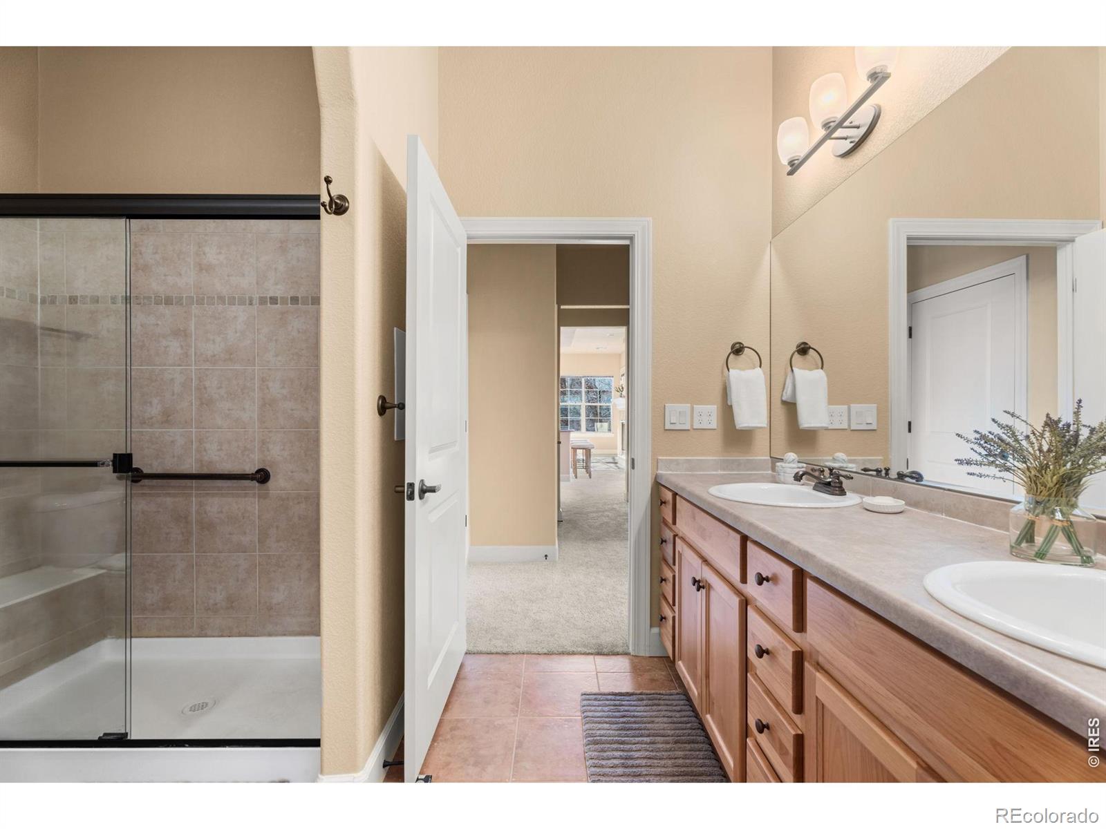MLS Image #19 for 1379  charles drive,longmont, Colorado