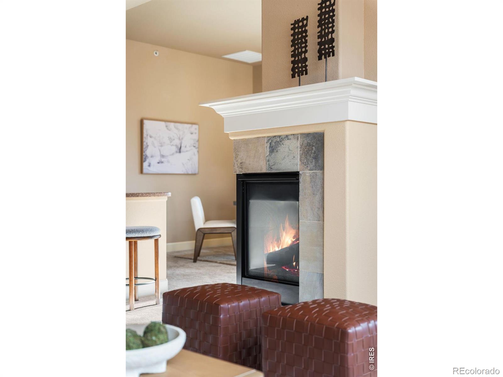 MLS Image #6 for 1379  charles drive,longmont, Colorado
