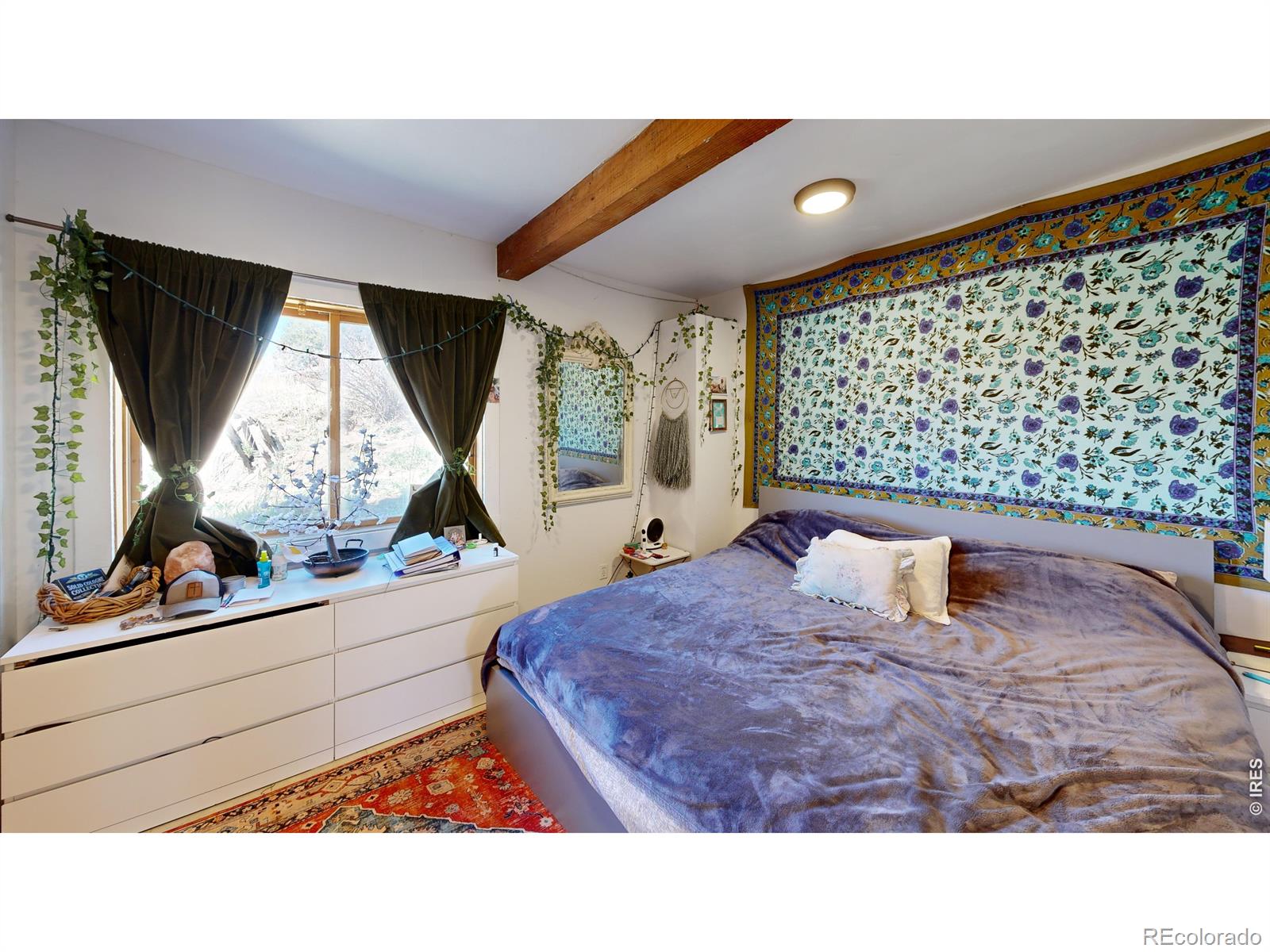 MLS Image #19 for 3322  ridge road,nederland, Colorado