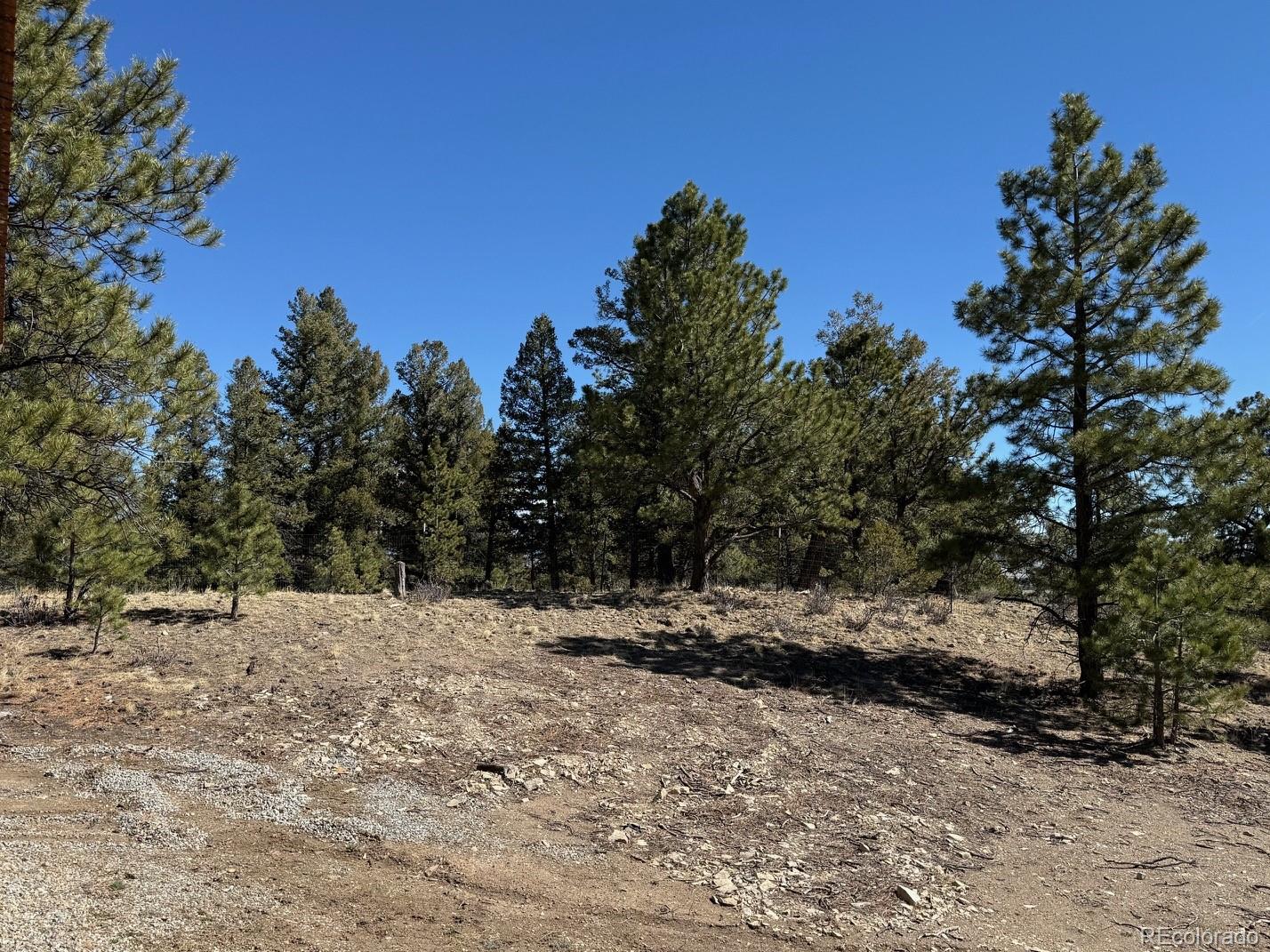 MLS Image #19 for 909  pitchfork road,hartsel, Colorado