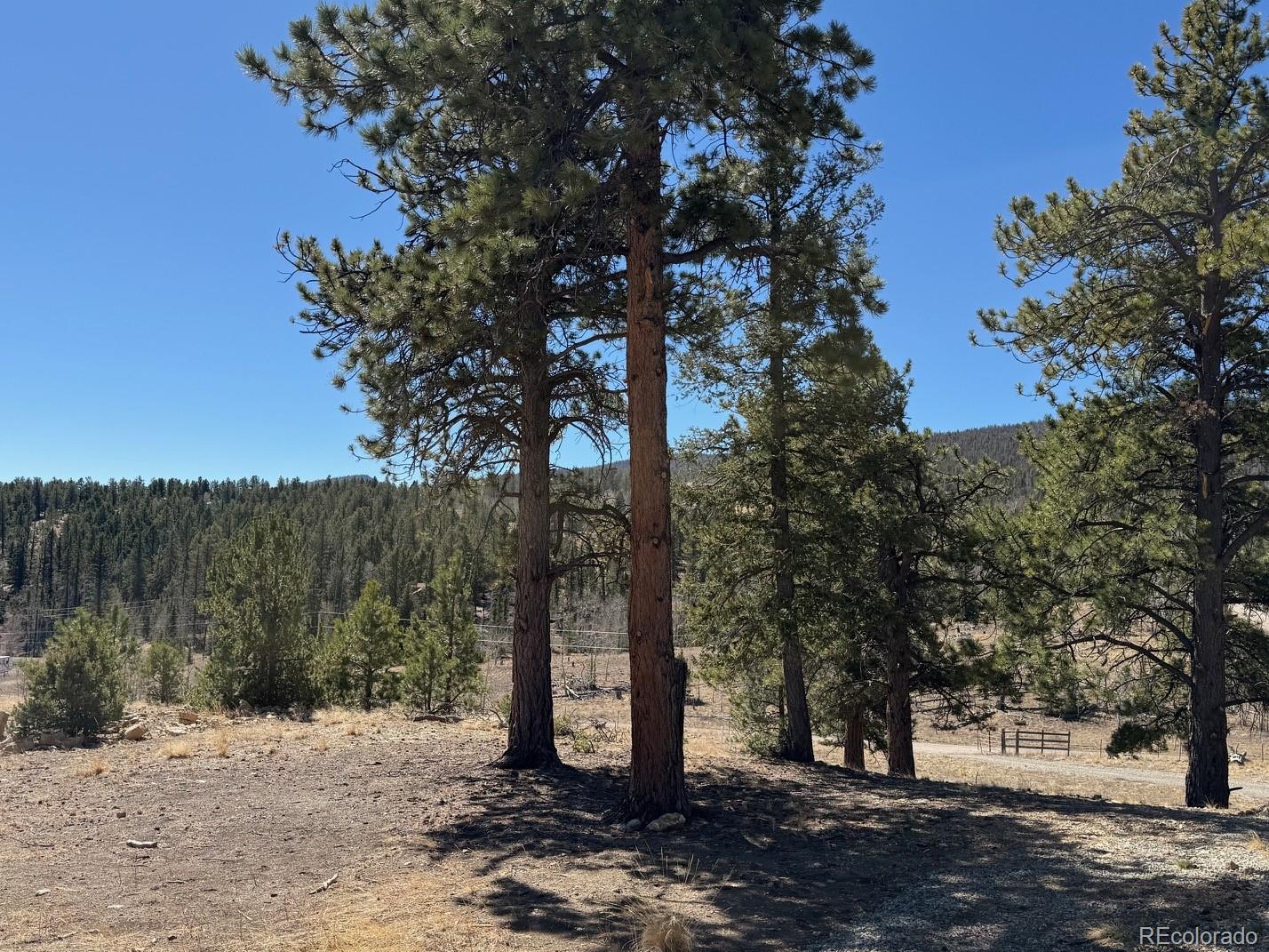 MLS Image #20 for 909  pitchfork road,hartsel, Colorado