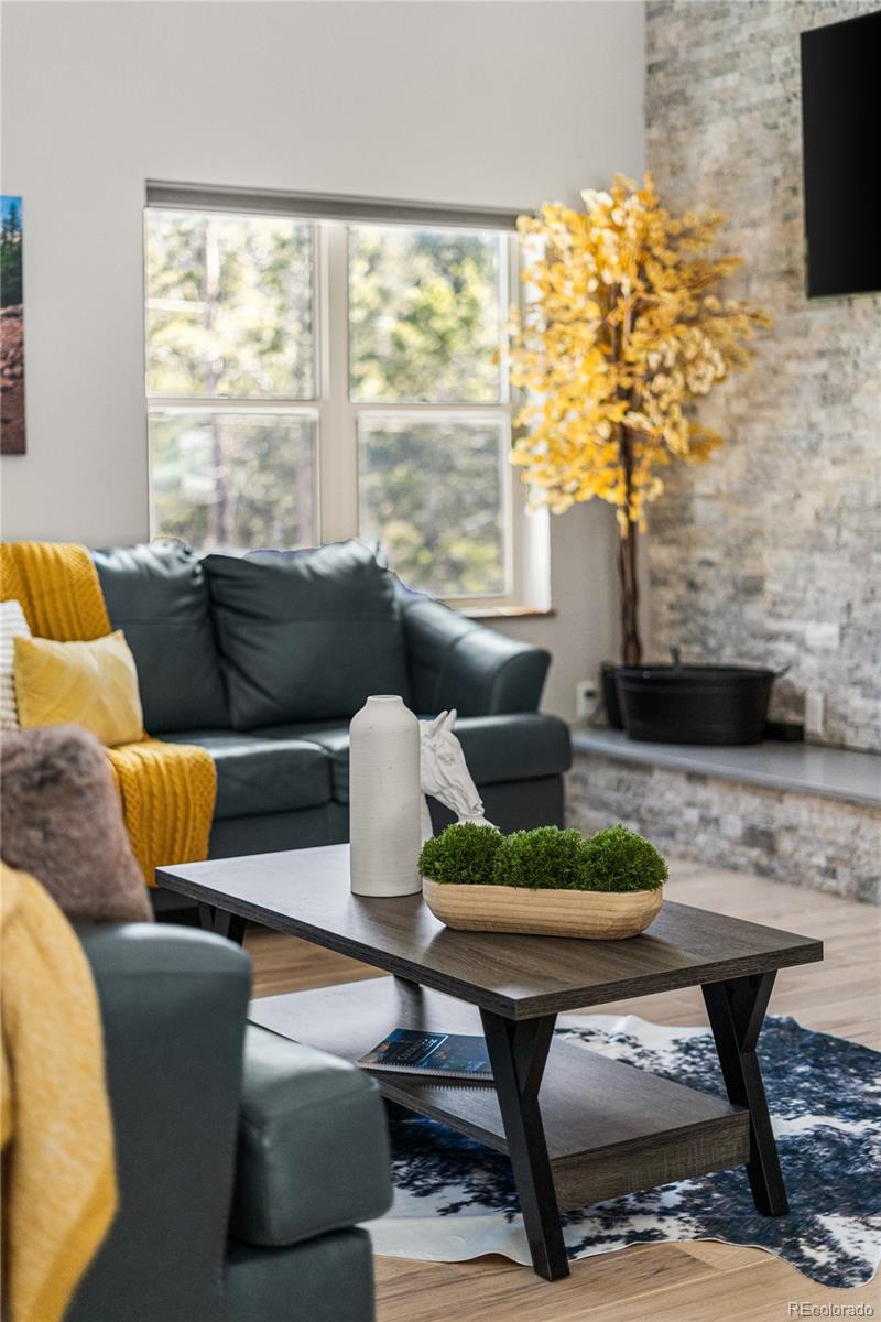 MLS Image #10 for 79  beaver road,idaho springs, Colorado