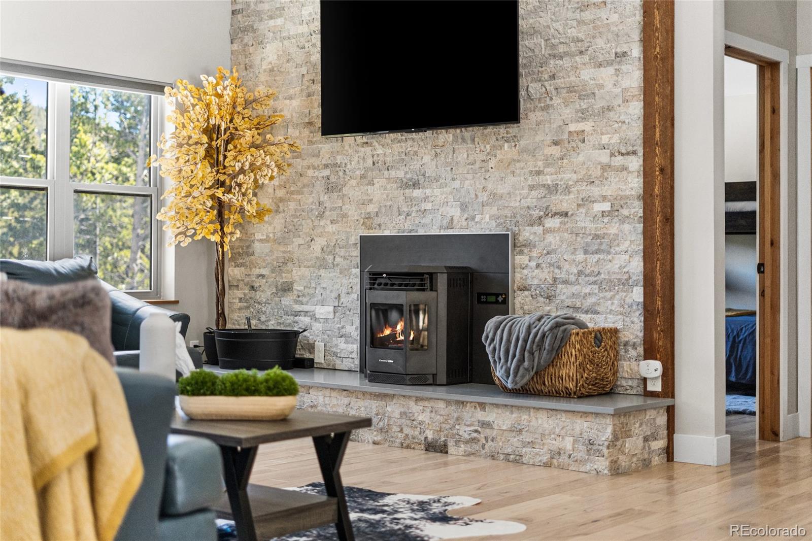 MLS Image #11 for 79  beaver road,idaho springs, Colorado