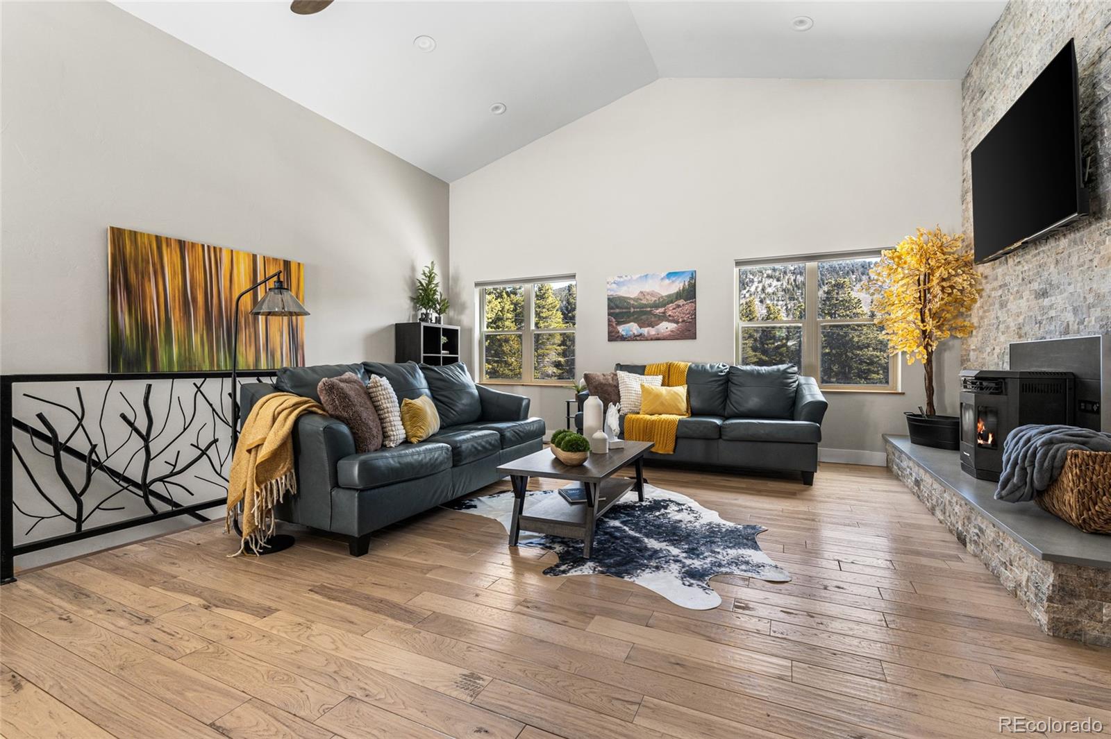 MLS Image #12 for 79  beaver road,idaho springs, Colorado