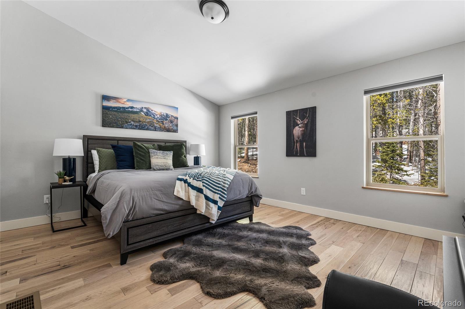 MLS Image #26 for 79  beaver road,idaho springs, Colorado