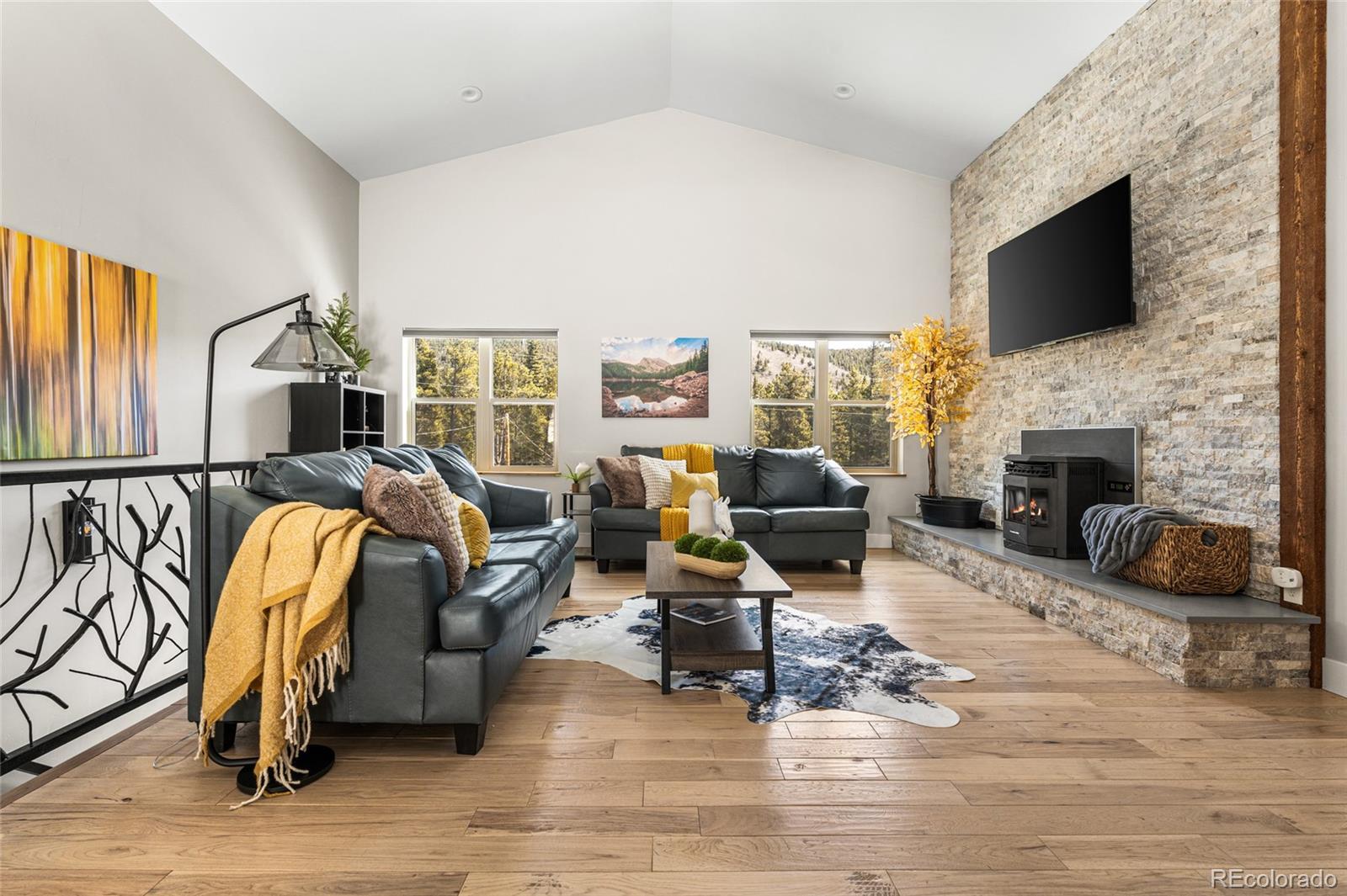 MLS Image #4 for 79  beaver road,idaho springs, Colorado