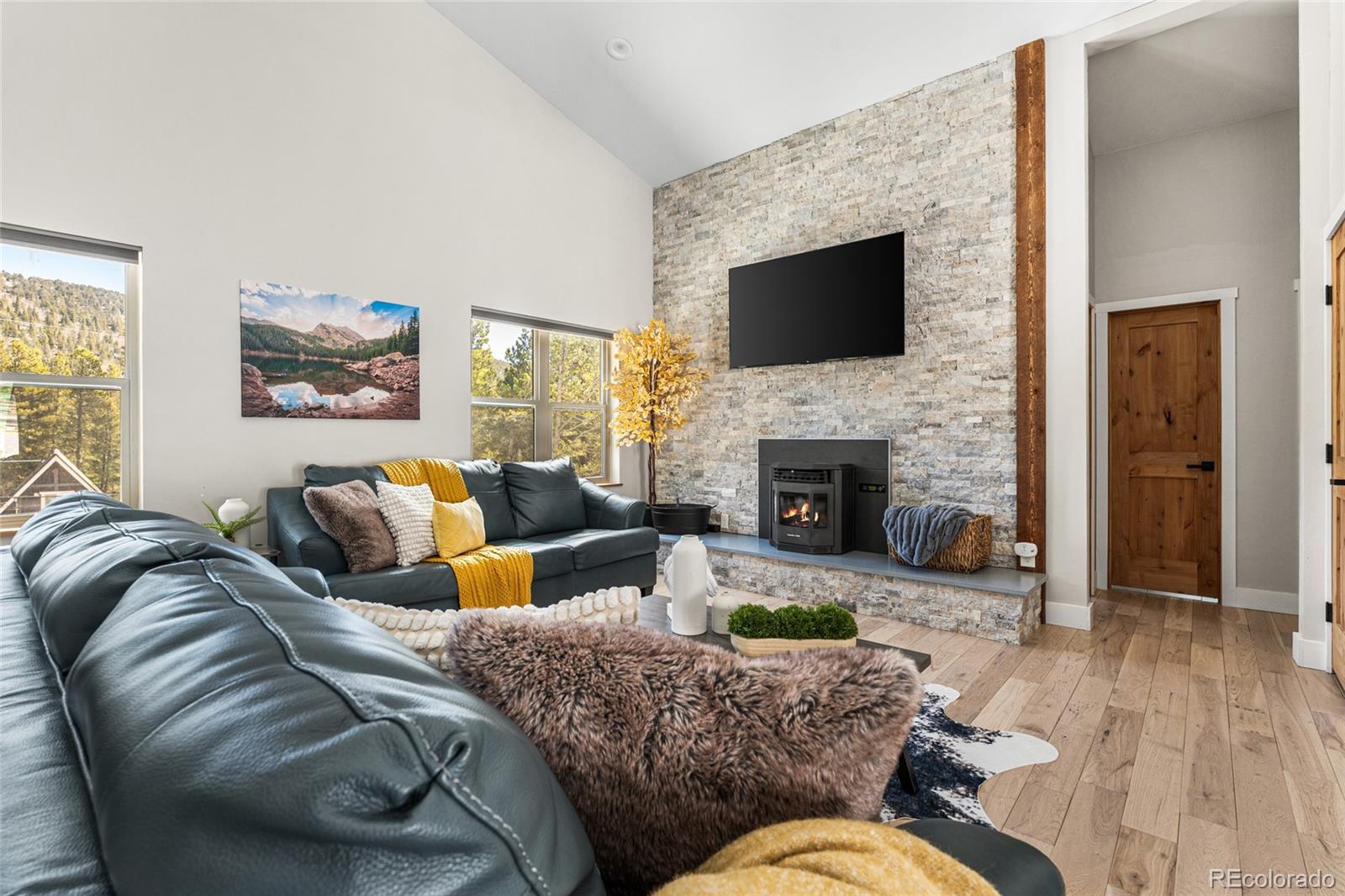 MLS Image #8 for 79  beaver road,idaho springs, Colorado