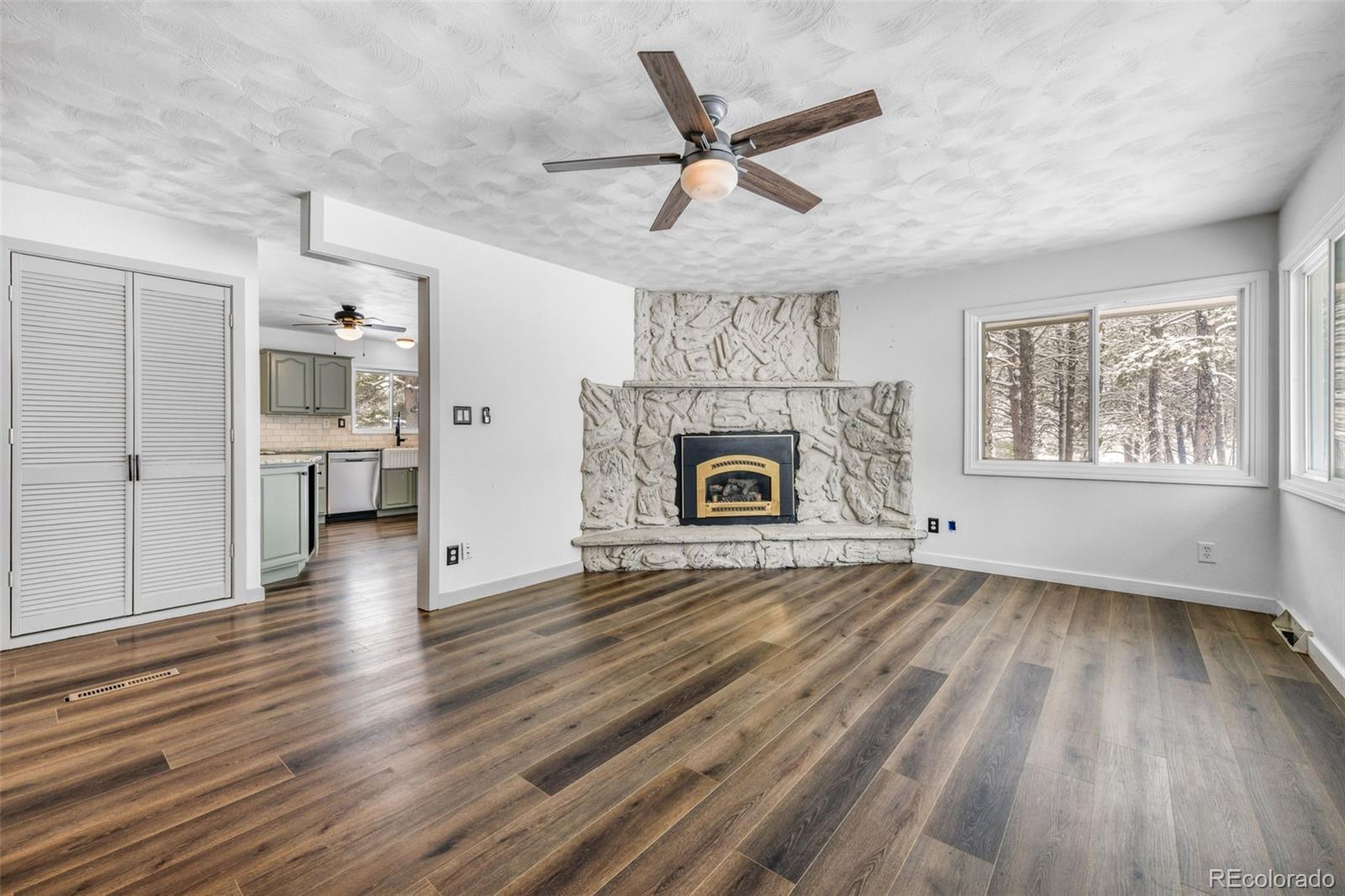 MLS Image #3 for 11165  pine meadows road,colorado springs, Colorado