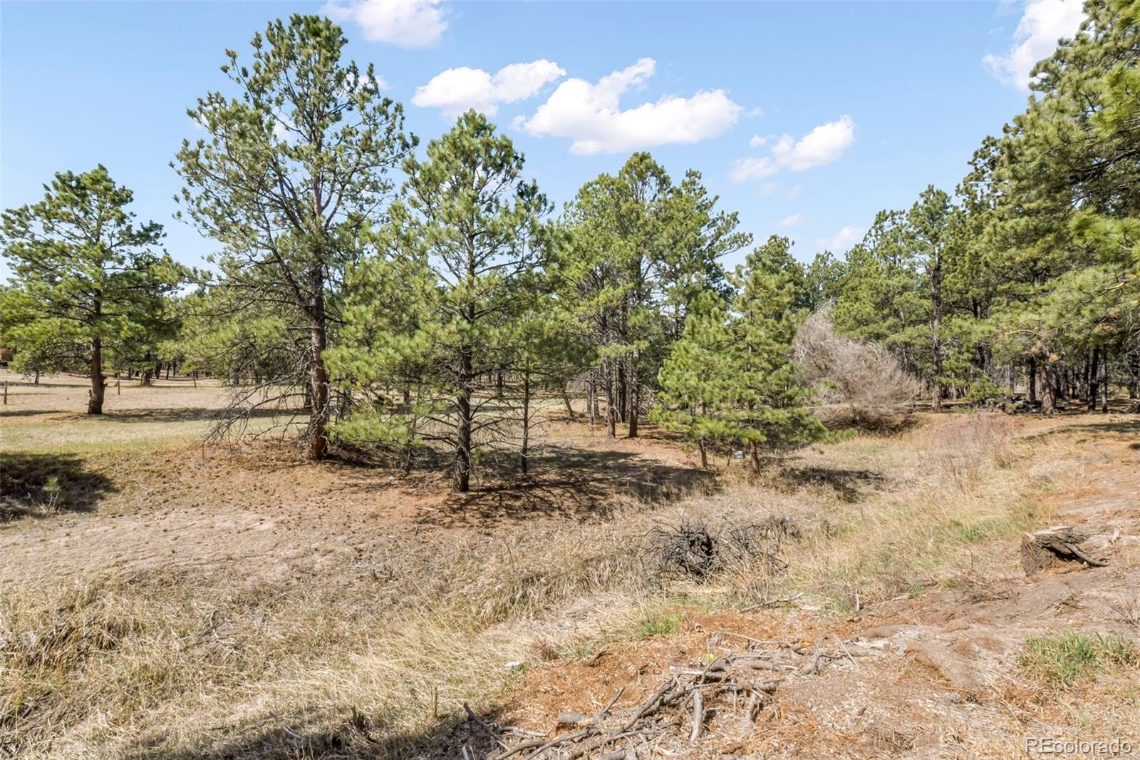 MLS Image #34 for 11165  pine meadows road,colorado springs, Colorado