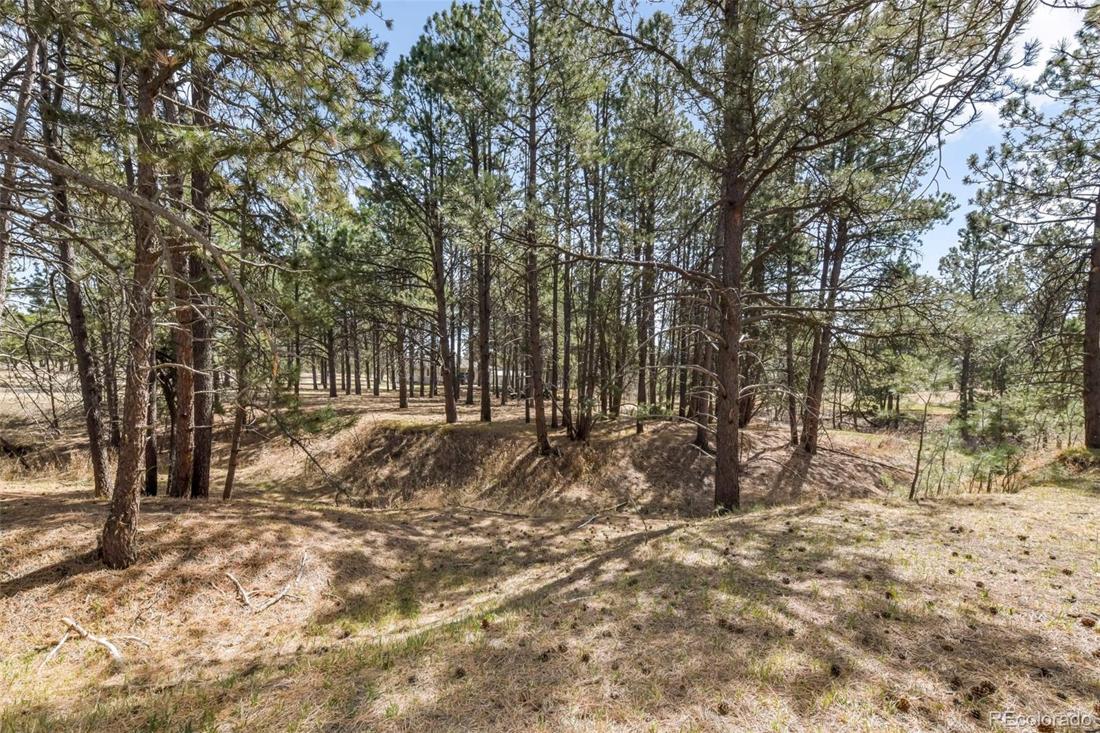 MLS Image #38 for 11165  pine meadows road,colorado springs, Colorado