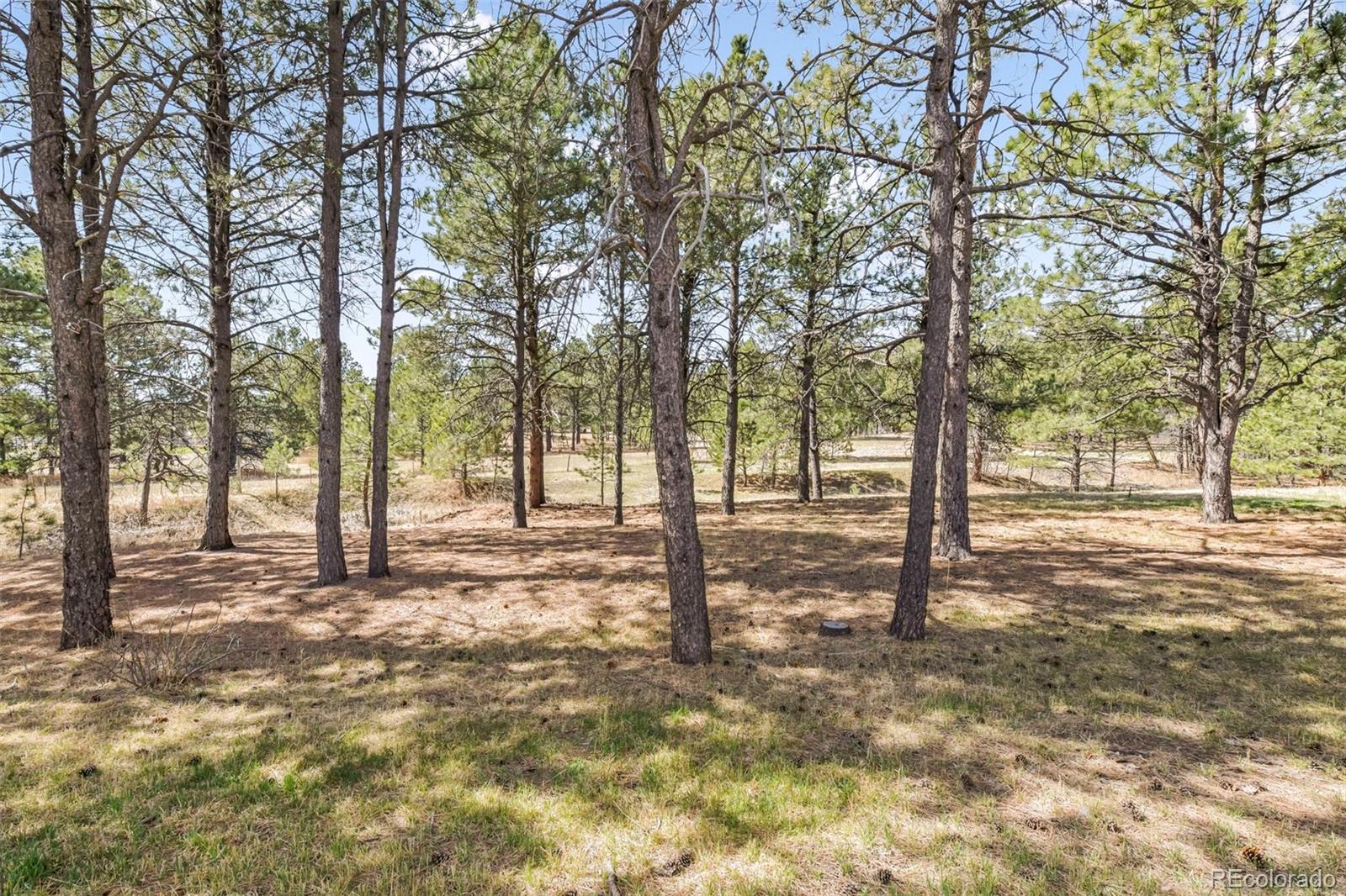 MLS Image #40 for 11165  pine meadows road,colorado springs, Colorado