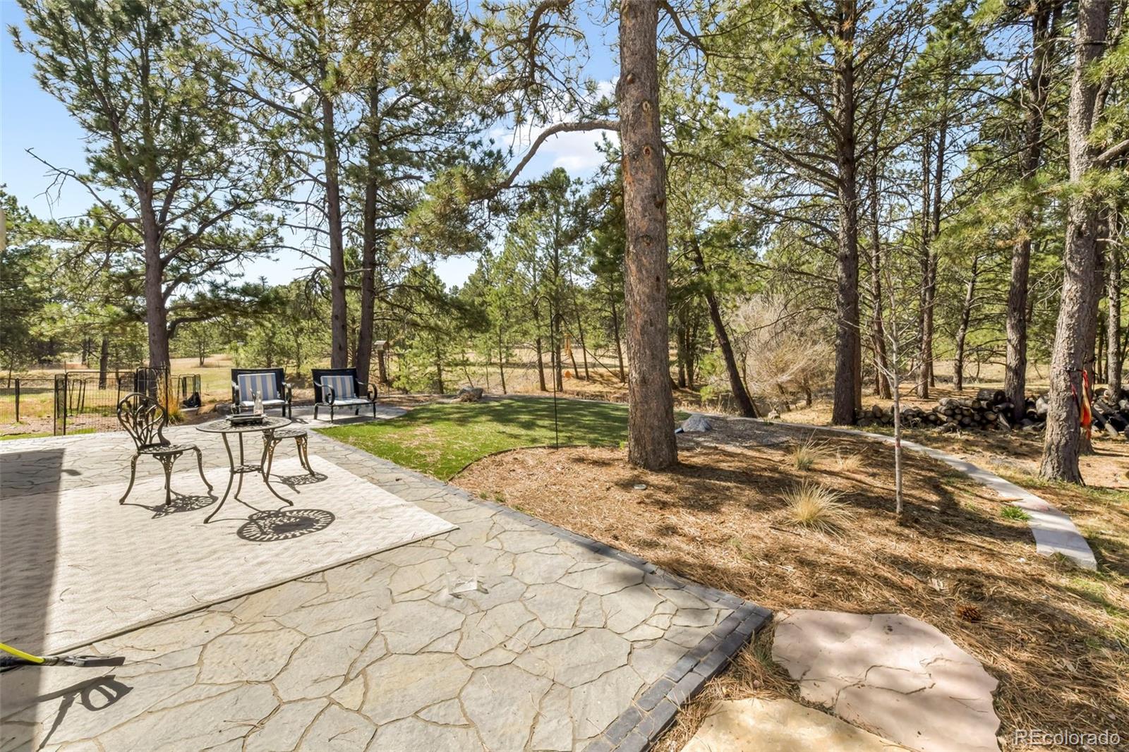MLS Image #41 for 11165  pine meadows road,colorado springs, Colorado
