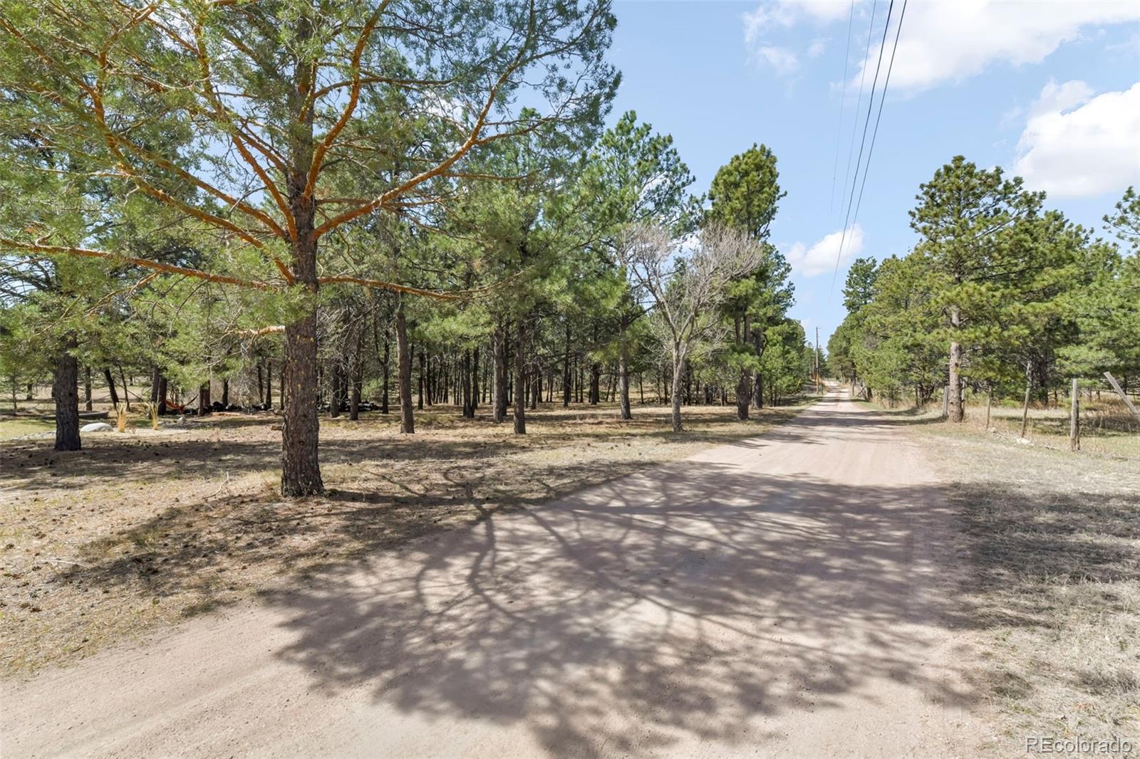 MLS Image #42 for 11165  pine meadows road,colorado springs, Colorado