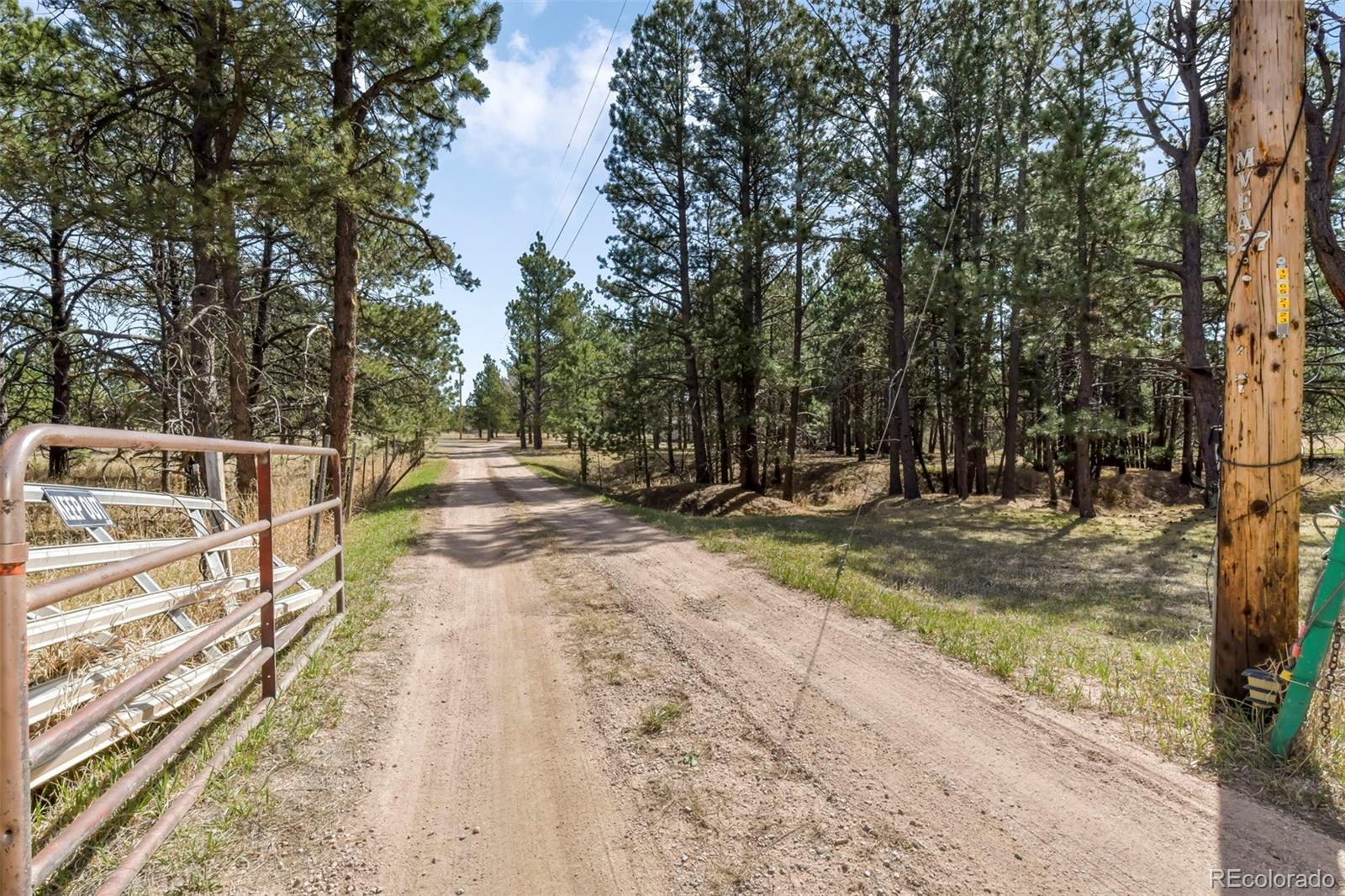 MLS Image #43 for 11165  pine meadows road,colorado springs, Colorado