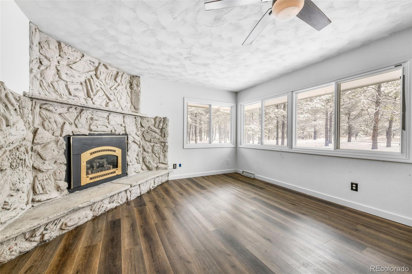 MLS Image #5 for 11165  pine meadows road,colorado springs, Colorado