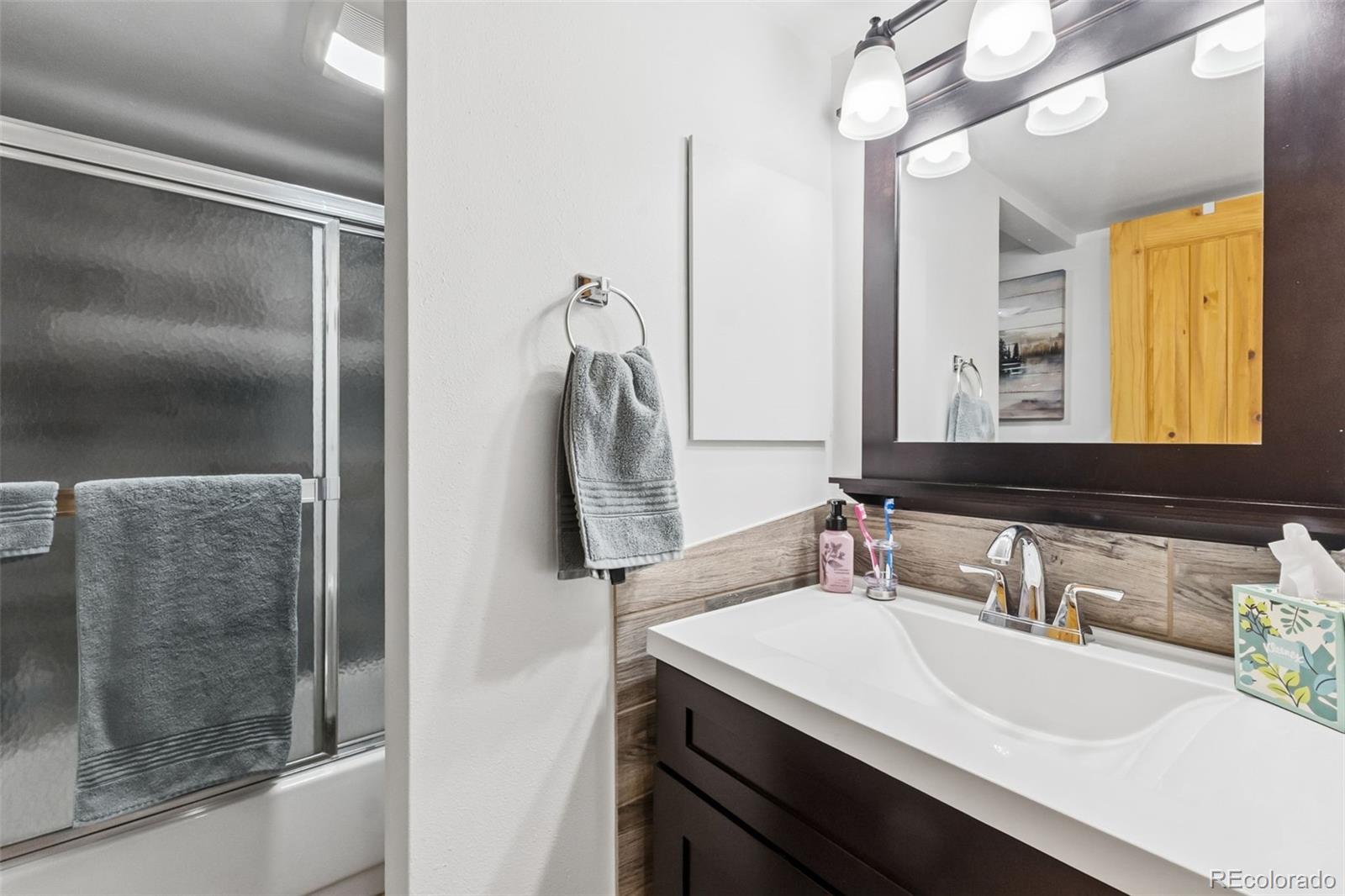 MLS Image #10 for 423  wild irishman road,dillon, Colorado