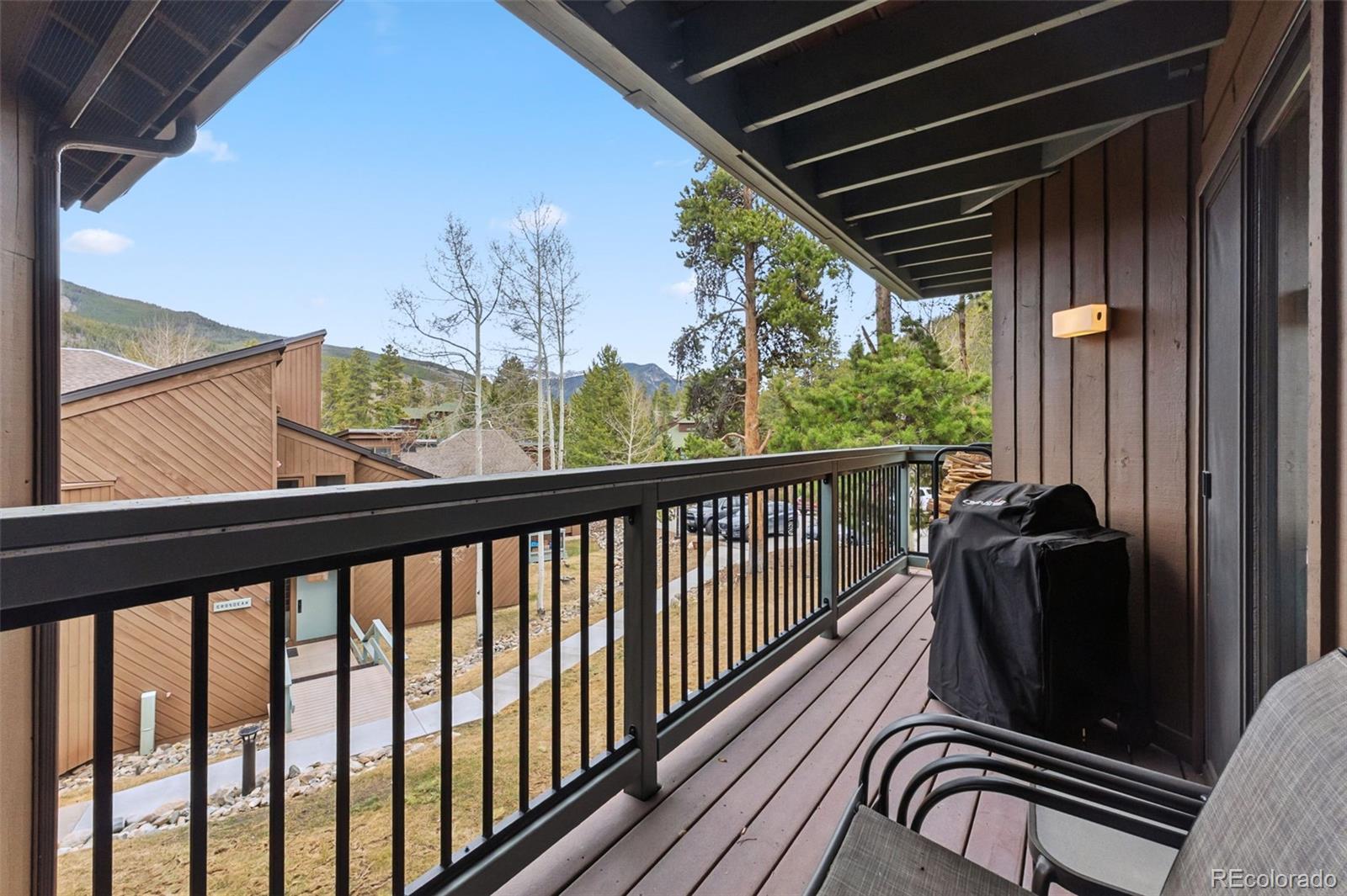 MLS Image #15 for 423  wild irishman road,dillon, Colorado