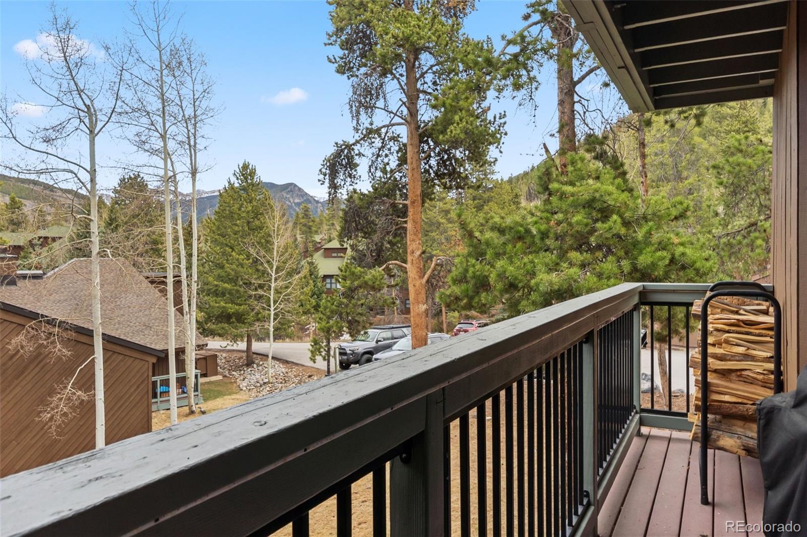 MLS Image #16 for 423  wild irishman road,dillon, Colorado
