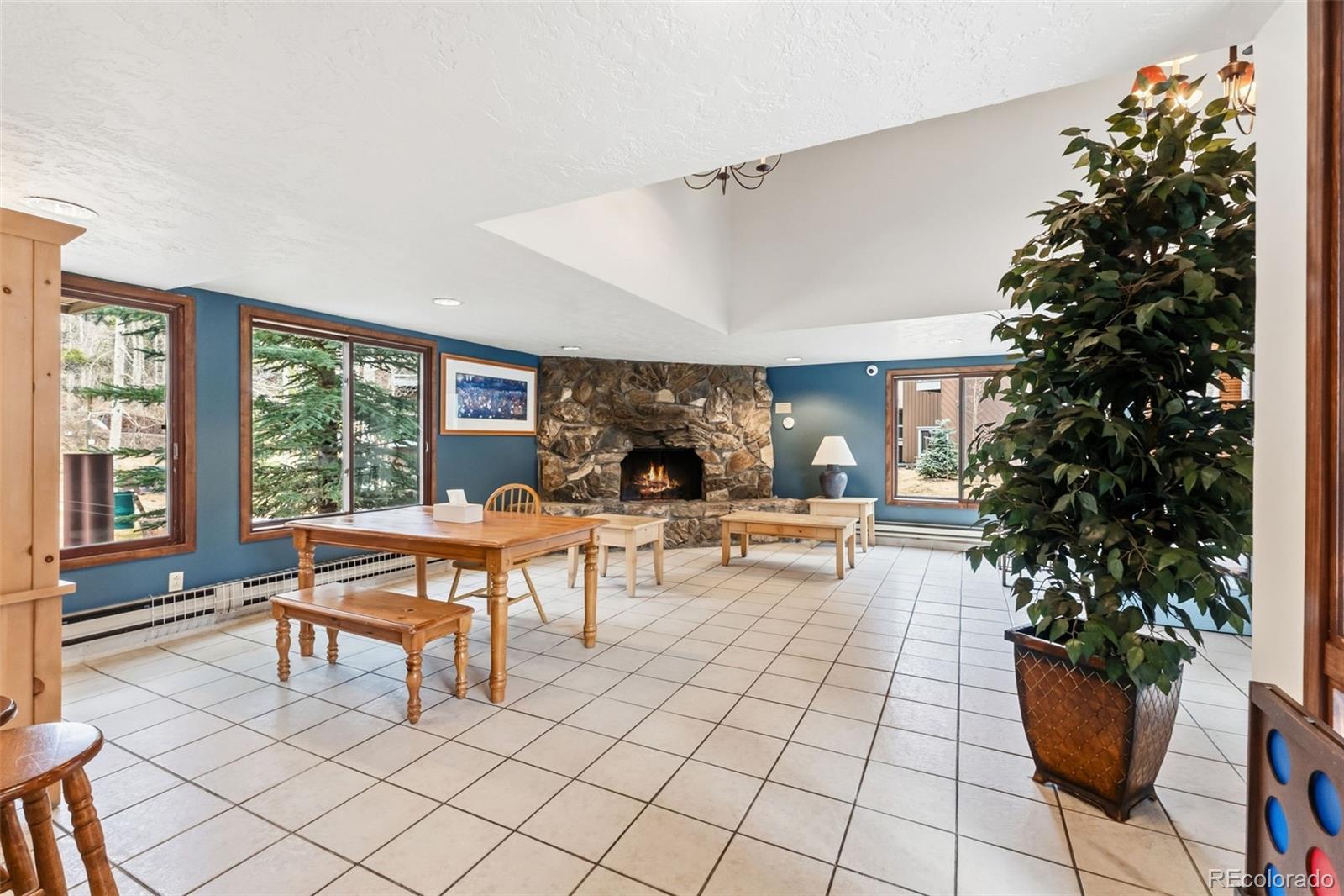 MLS Image #17 for 423  wild irishman road,dillon, Colorado