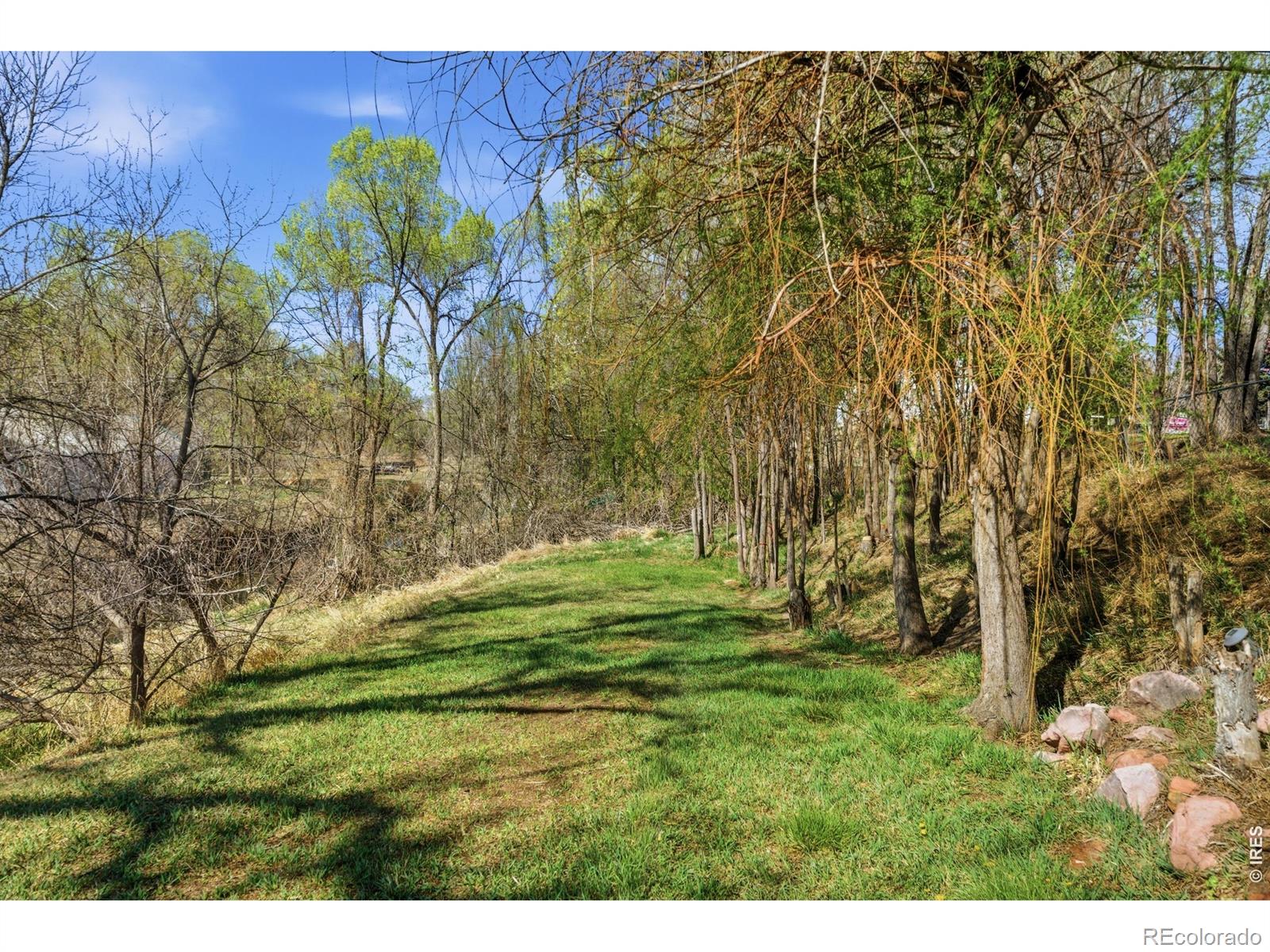 MLS Image #31 for 701 n taft avenue,loveland, Colorado