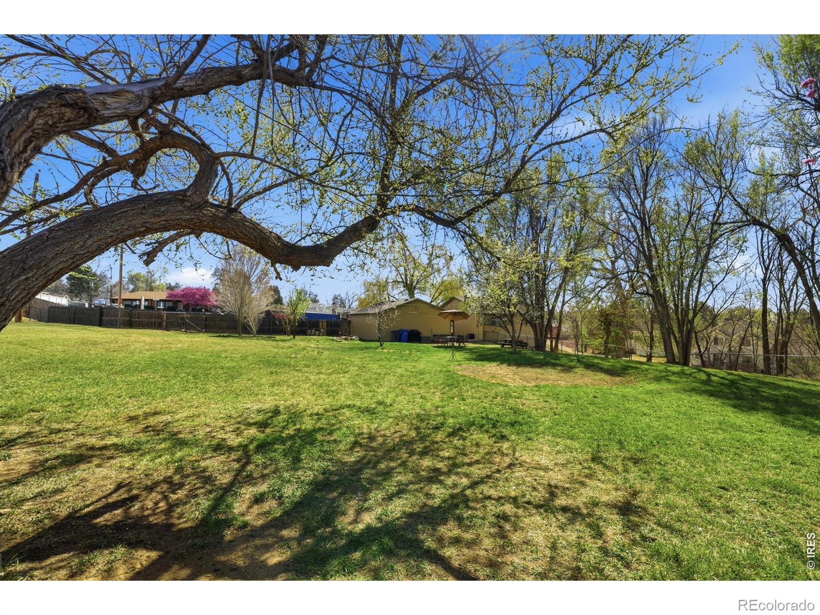 MLS Image #35 for 701 n taft avenue,loveland, Colorado