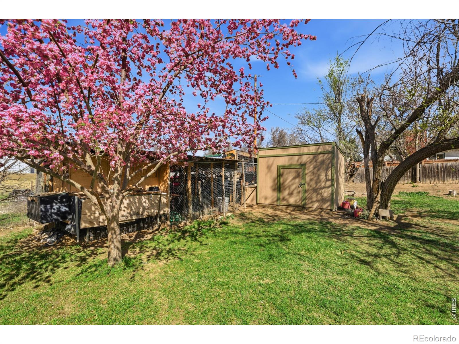 MLS Image #40 for 701 n taft avenue,loveland, Colorado