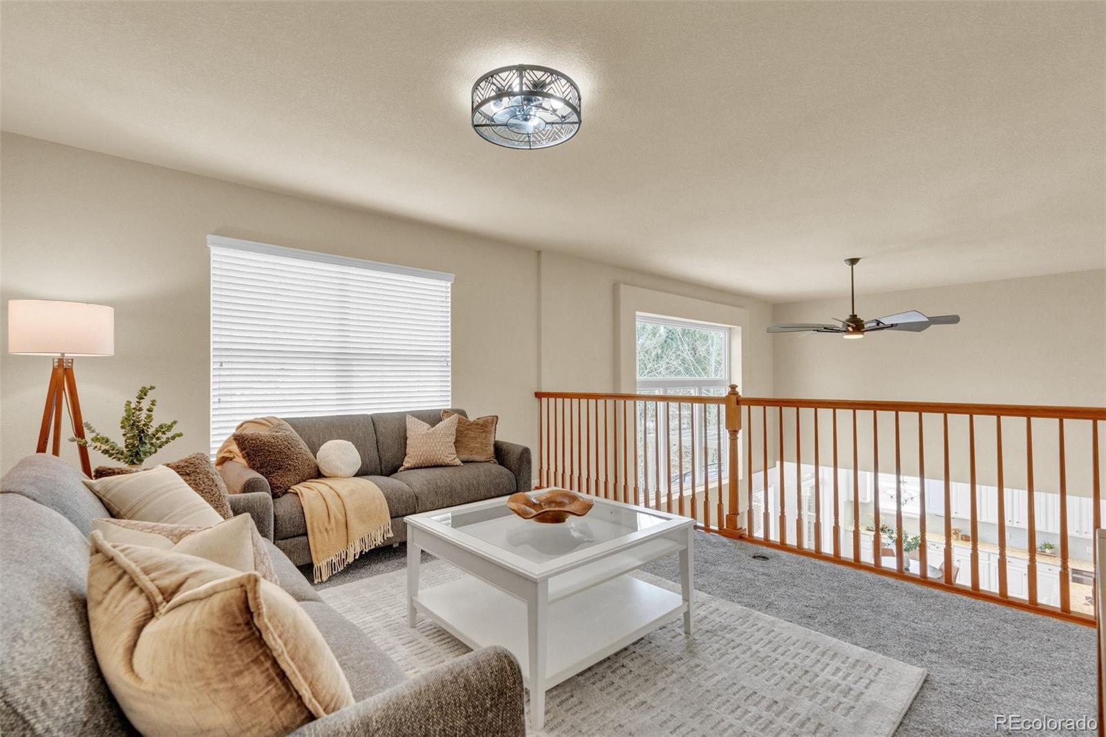 MLS Image #12 for 3366  fantasy place,castle rock, Colorado