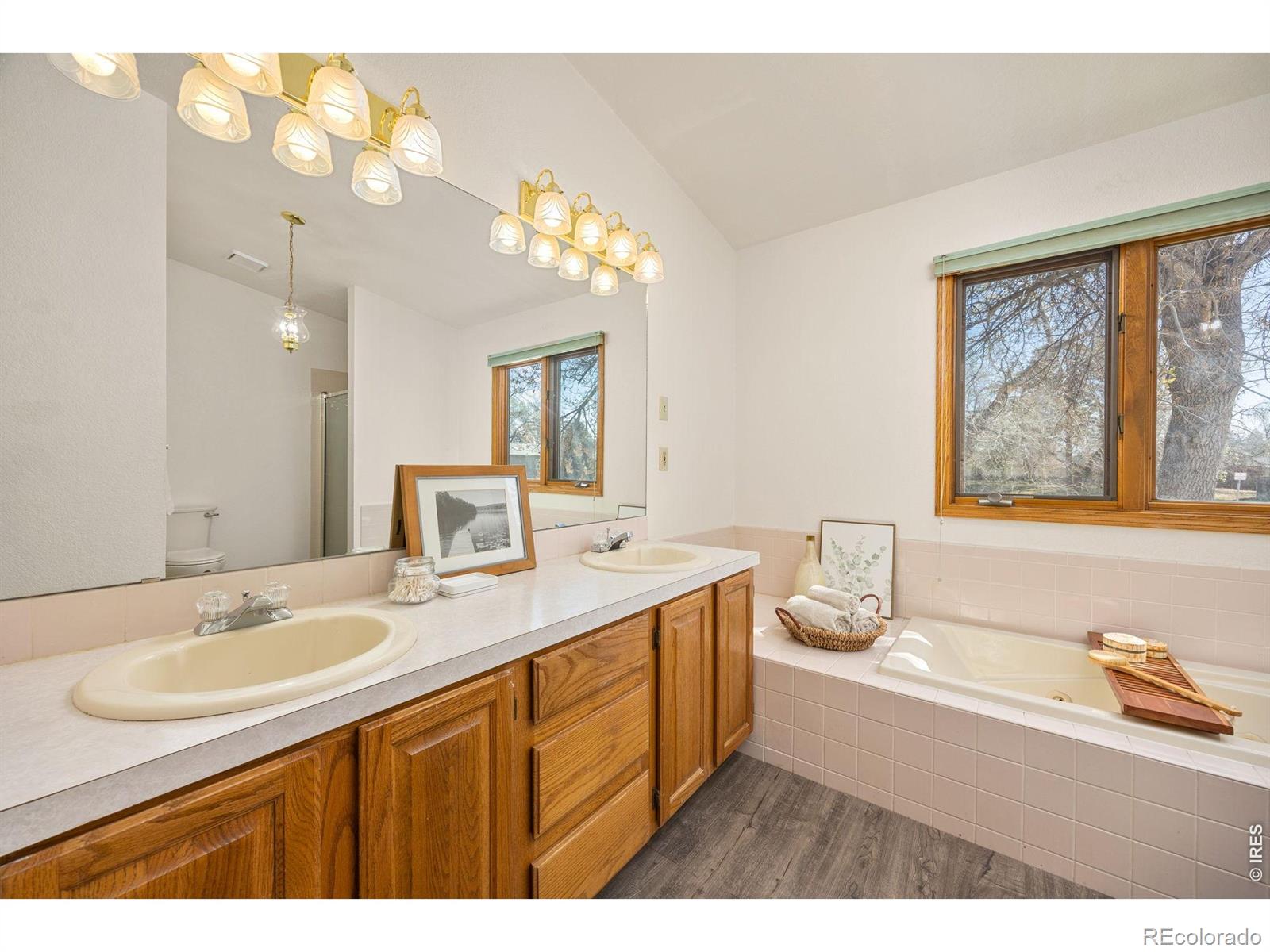 MLS Image #13 for 4526  hibiscus street,fort collins, Colorado