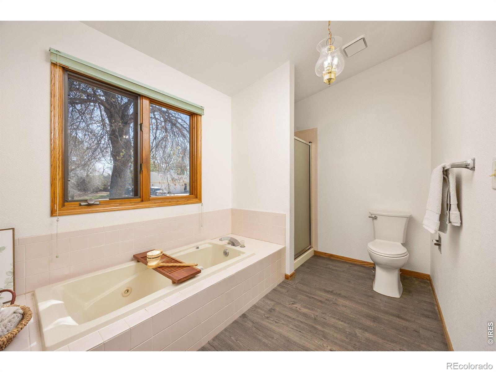 MLS Image #14 for 4526  hibiscus street,fort collins, Colorado
