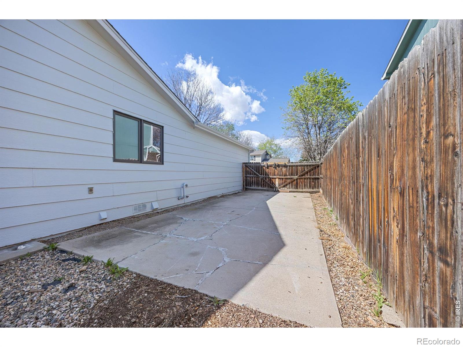 MLS Image #19 for 4526  hibiscus street,fort collins, Colorado