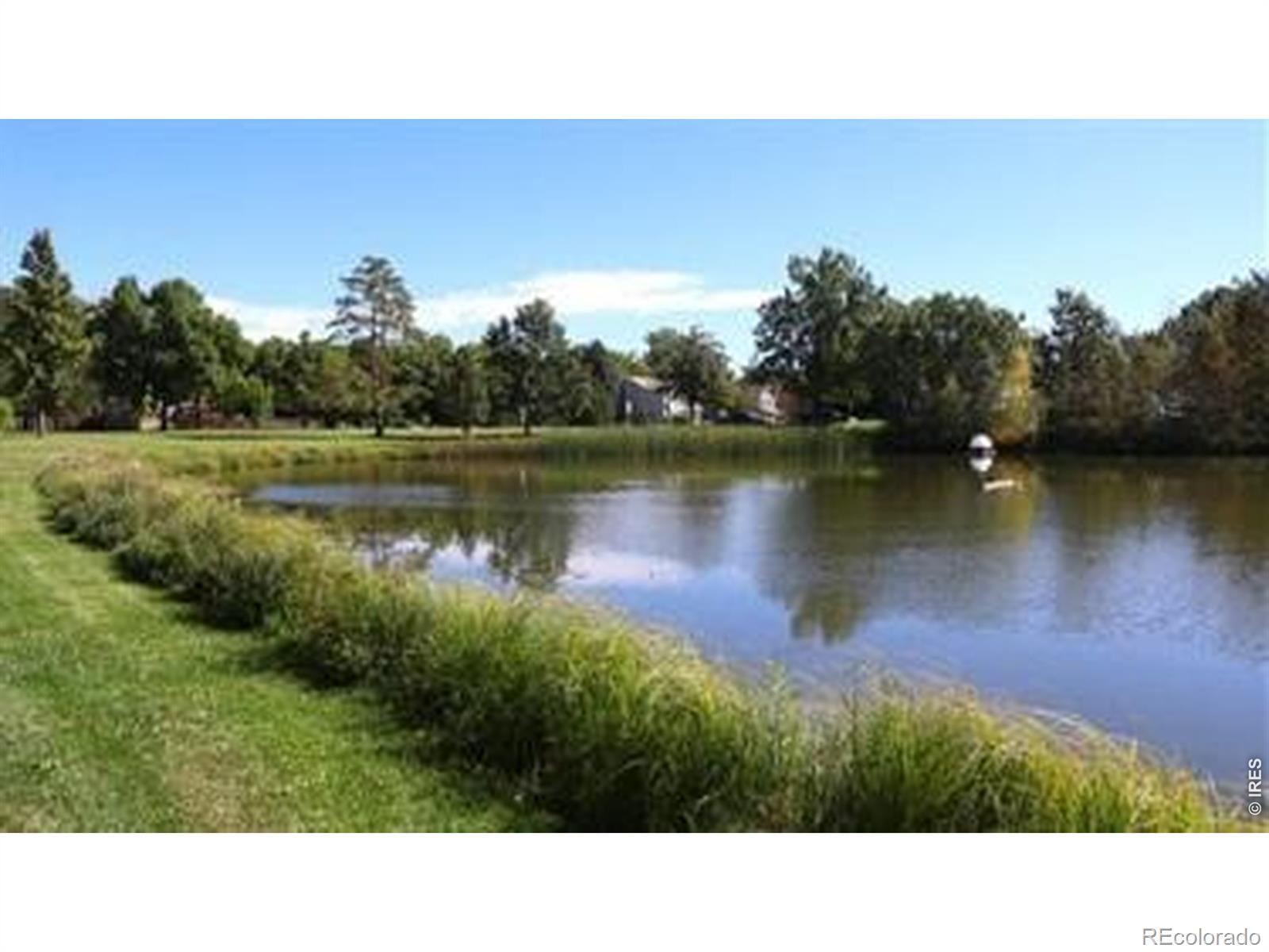 MLS Image #35 for 4526  hibiscus street,fort collins, Colorado
