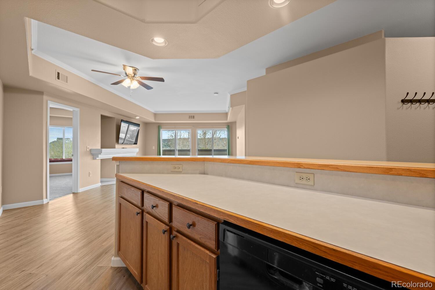 MLS Image #9 for 940 e plum creek parkway,castle rock, Colorado