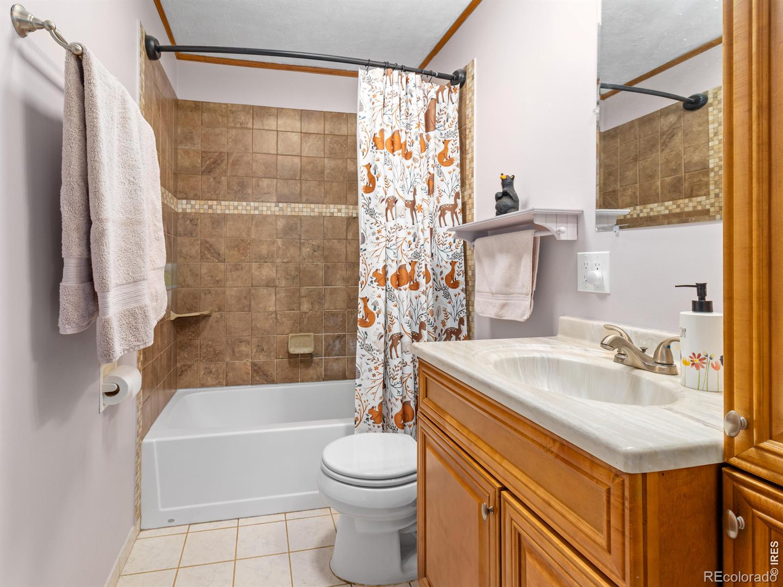 MLS Image #21 for 517  birch avenue,estes park, Colorado