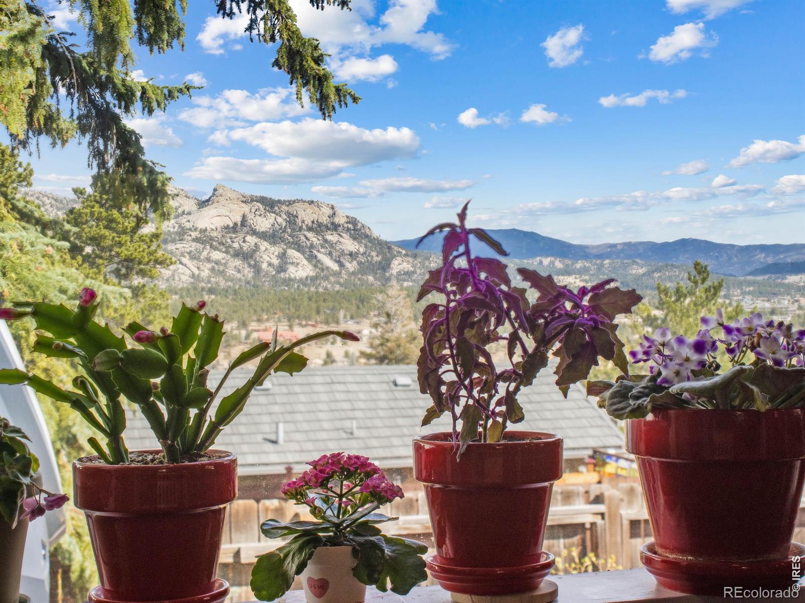 MLS Image #9 for 517  birch avenue,estes park, Colorado